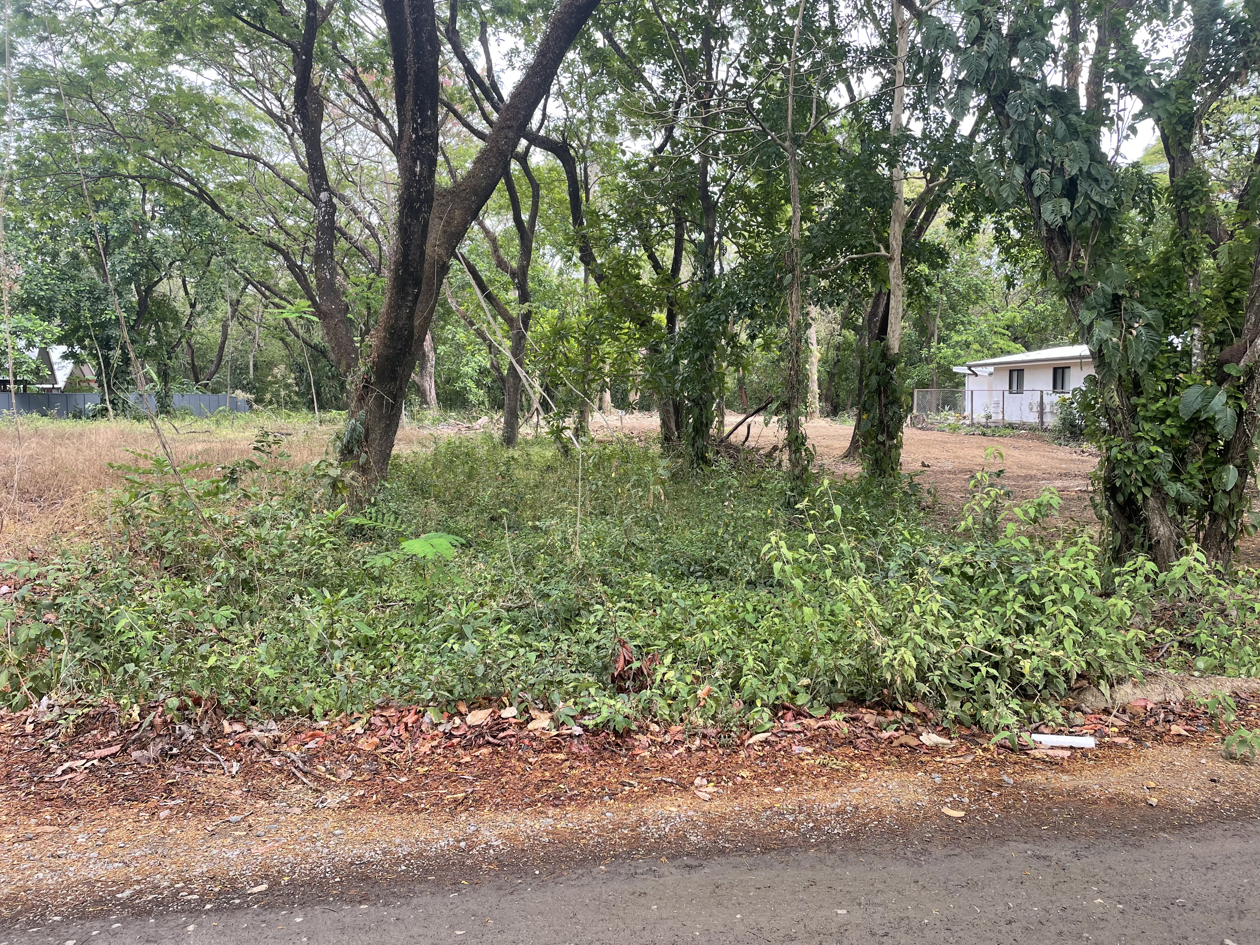 0 bed Land For Sale in Nosara, Guanacaste - thumb 13