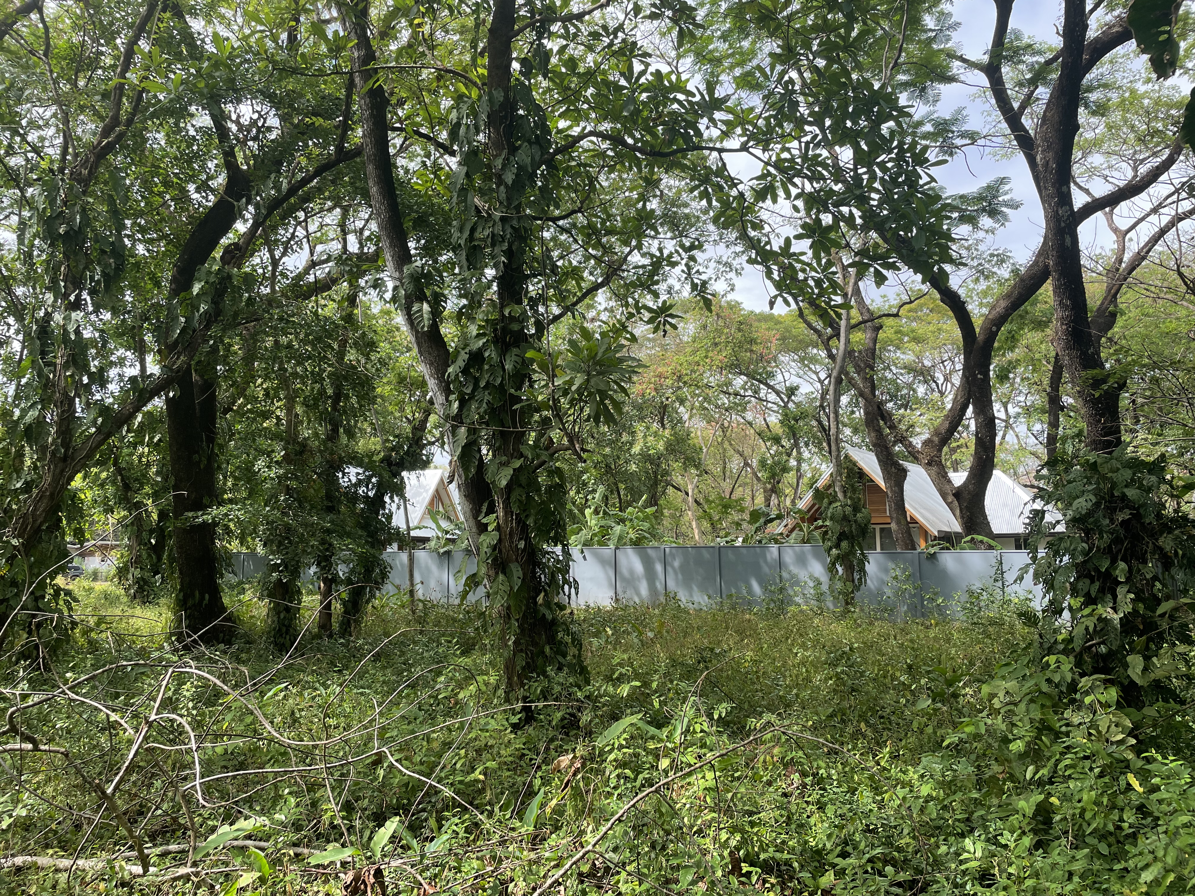 0 bed Land For Sale in Nosara, Guanacaste - thumb 10