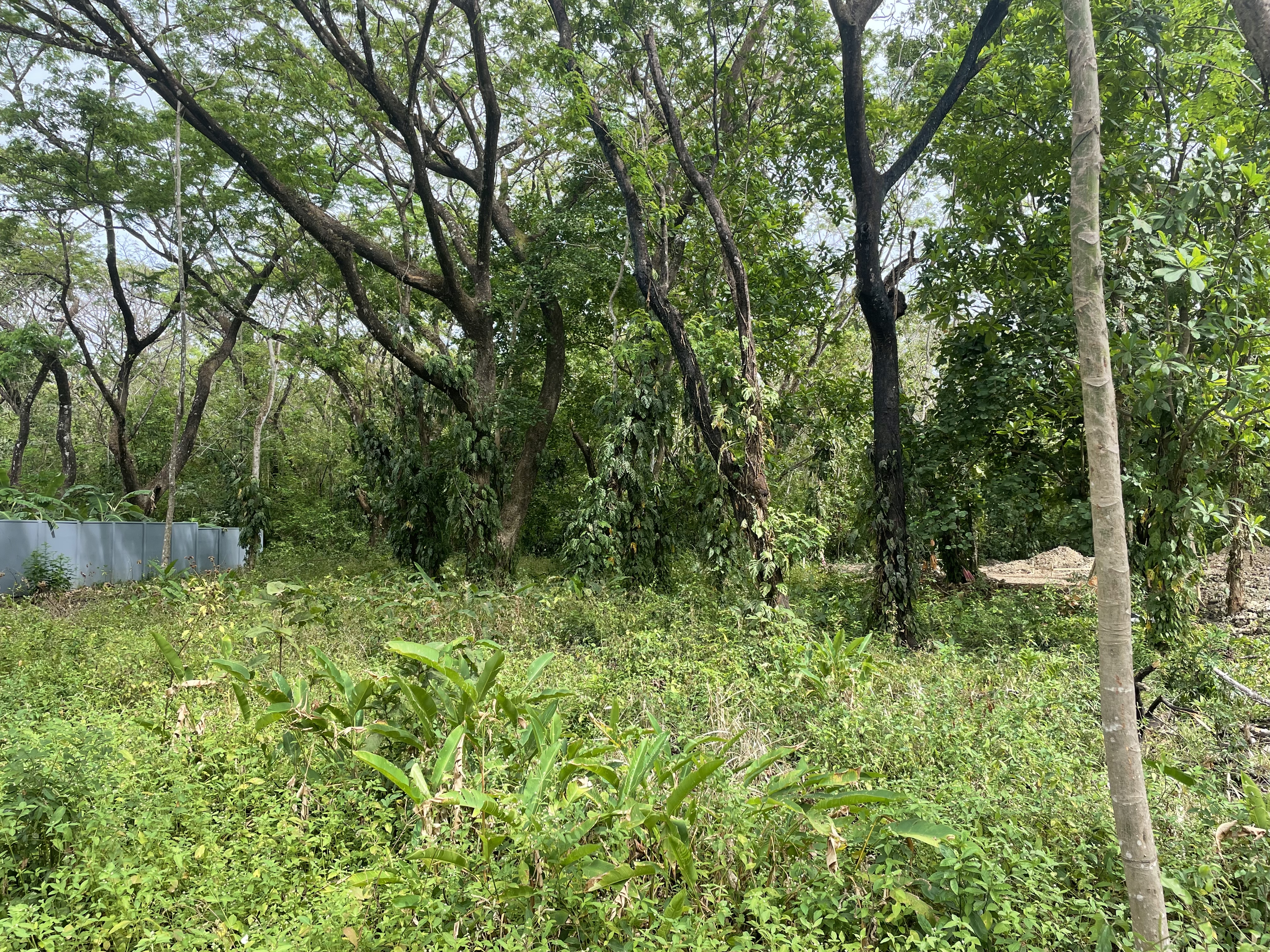 0 bed Land For Sale in Nosara, Guanacaste - thumb 2