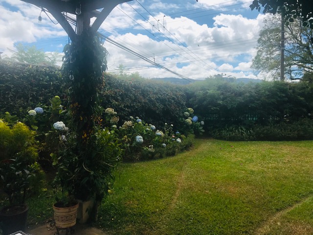 5 bed Condo For Sale in Curridabat, San Jose - thumb 9