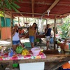  - BEST Beachfront Property Available! 10 Acres - Private Estate or Eco Hotel