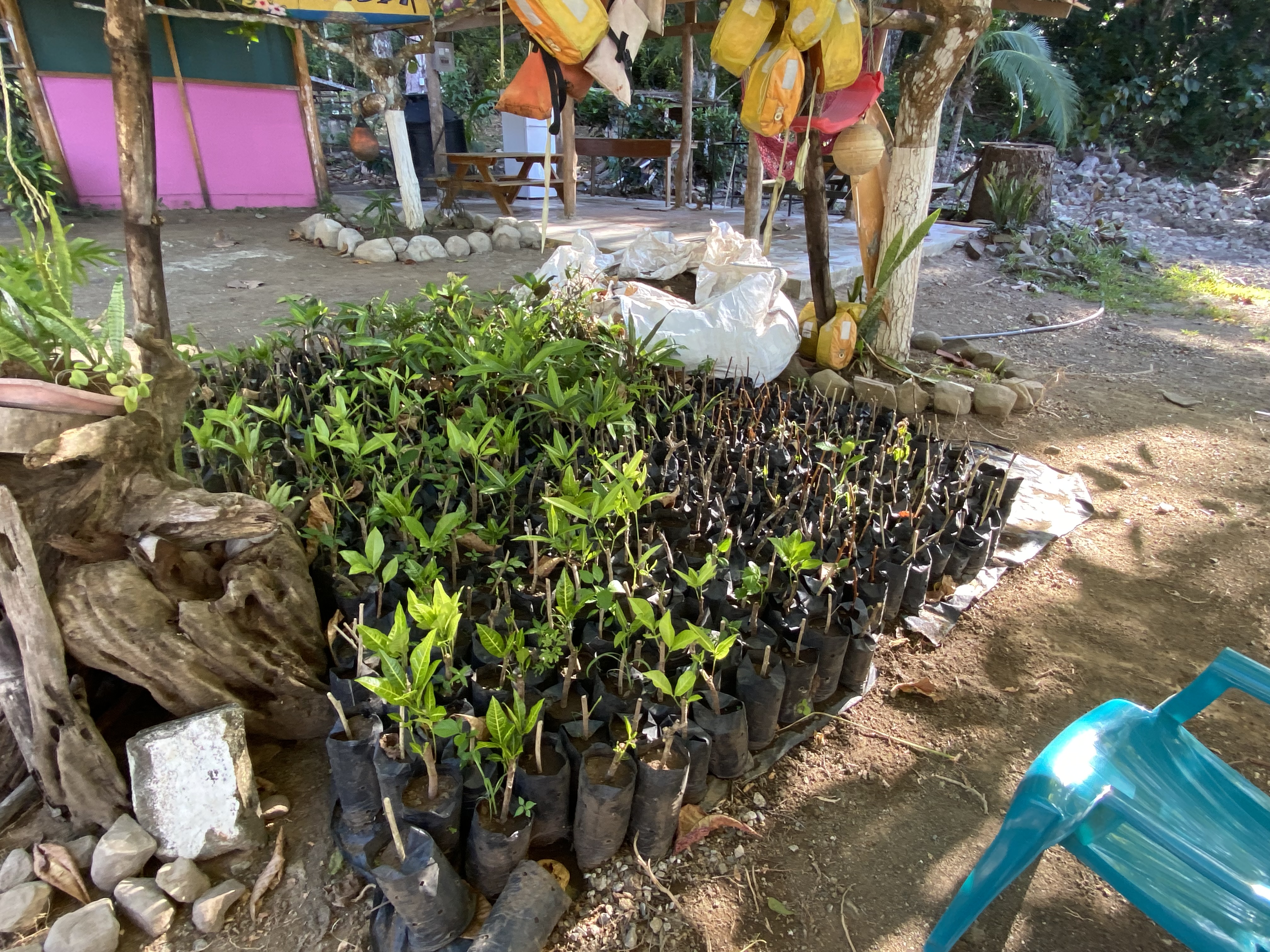 3 bed Land For Sale in Paquera, Puntarenas - thumb 18