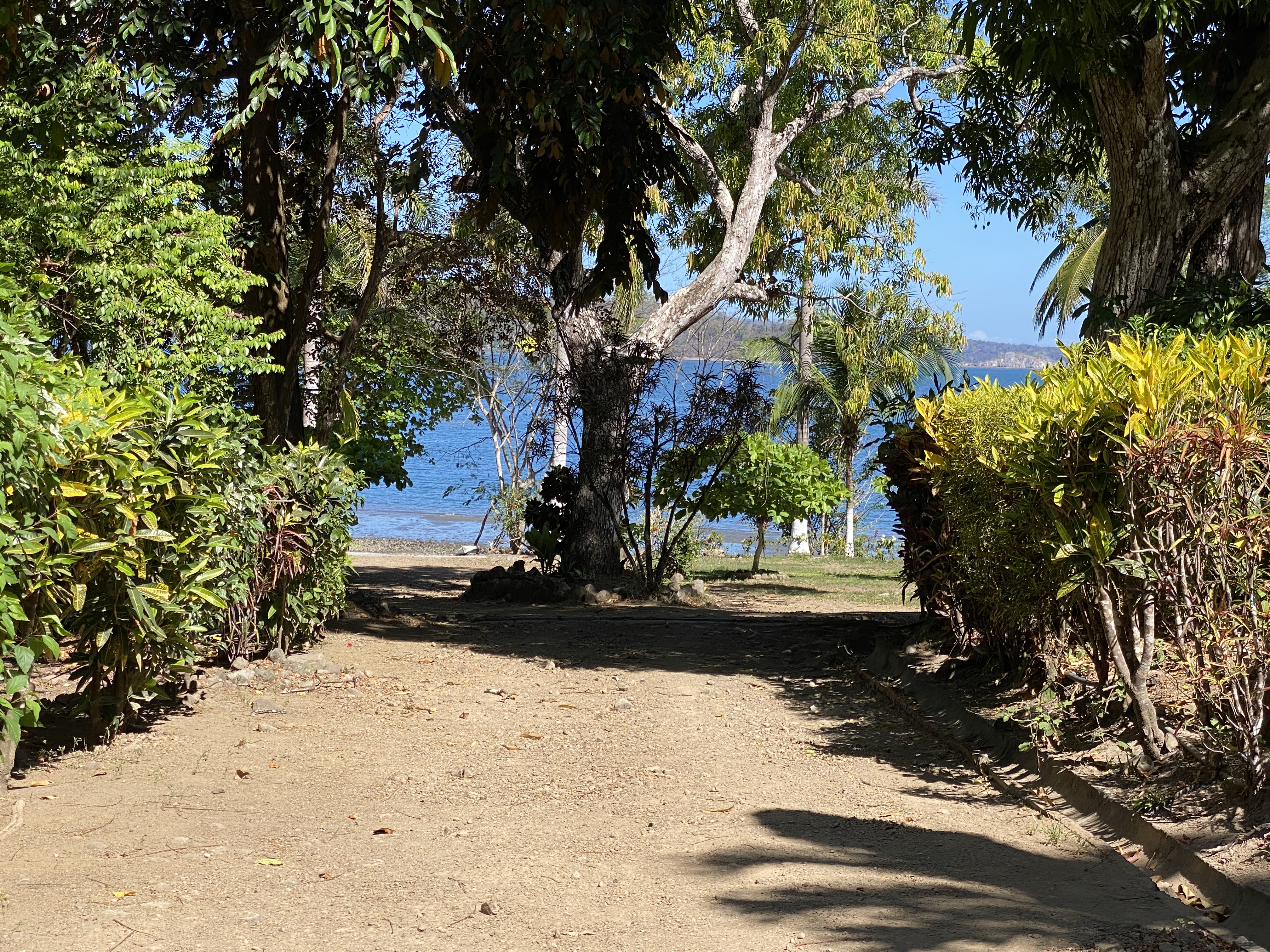 3 bed Land For Sale in Paquera, Puntarenas - thumb 3