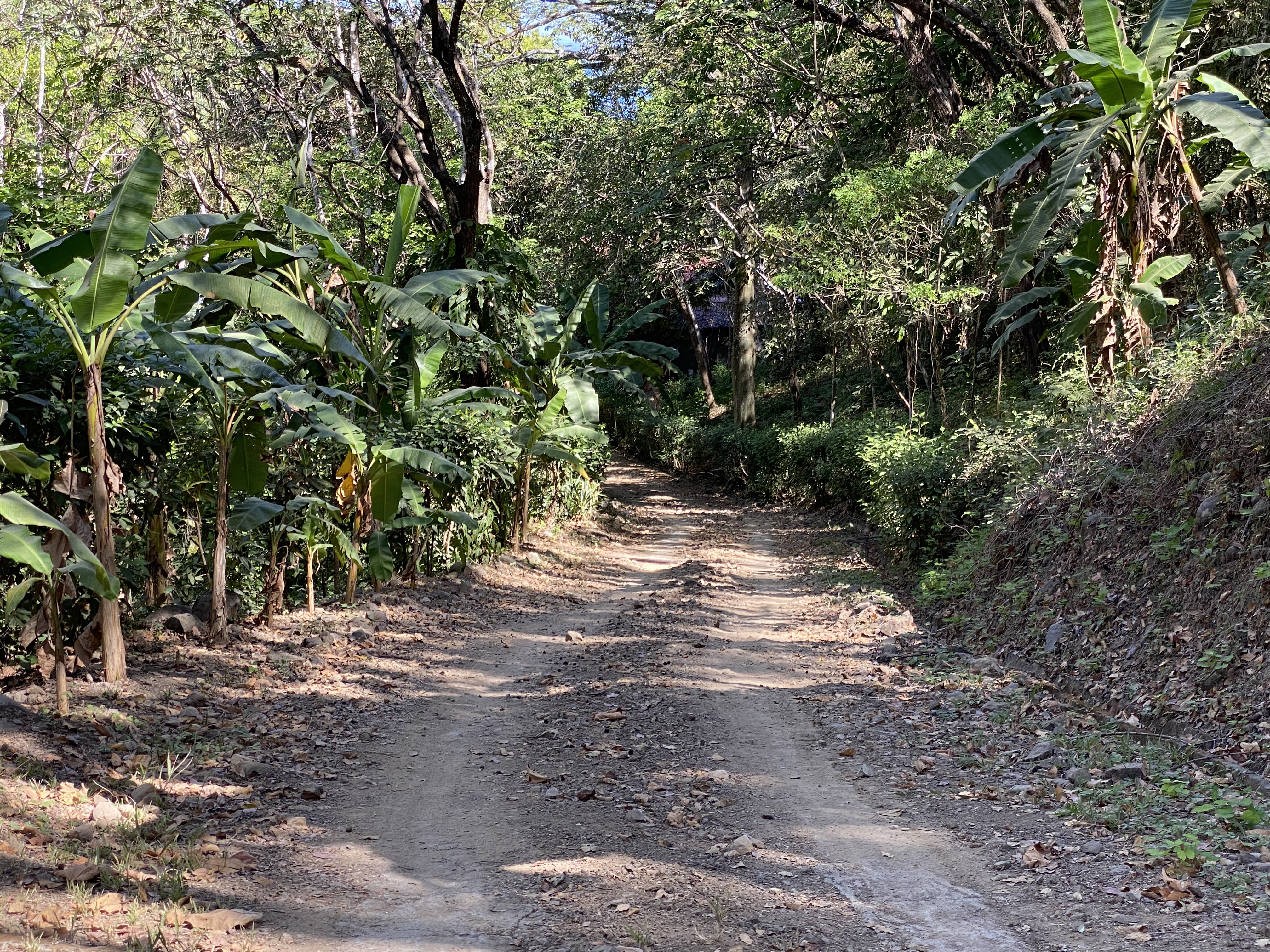 3 bed Land For Sale in Paquera, Puntarenas - thumb 5