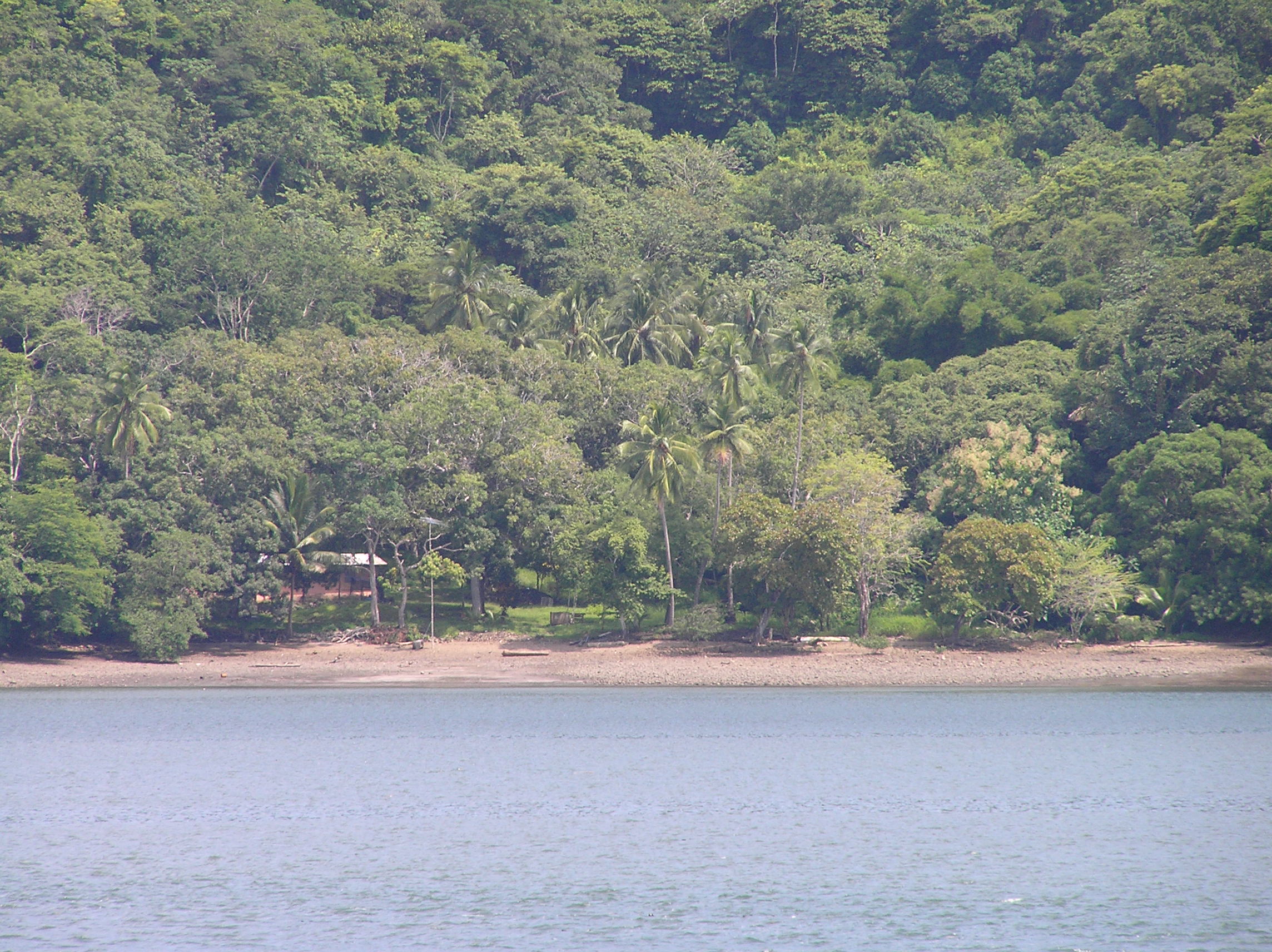 3 bed Land For Sale in Paquera, Puntarenas - thumb 2