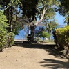  - BEST Beachfront Property Available! 10 Acres - Private Estate or Eco Hotel