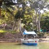  - BEST Beachfront Property Available! 10 Acres - Private Estate or Eco Hotel