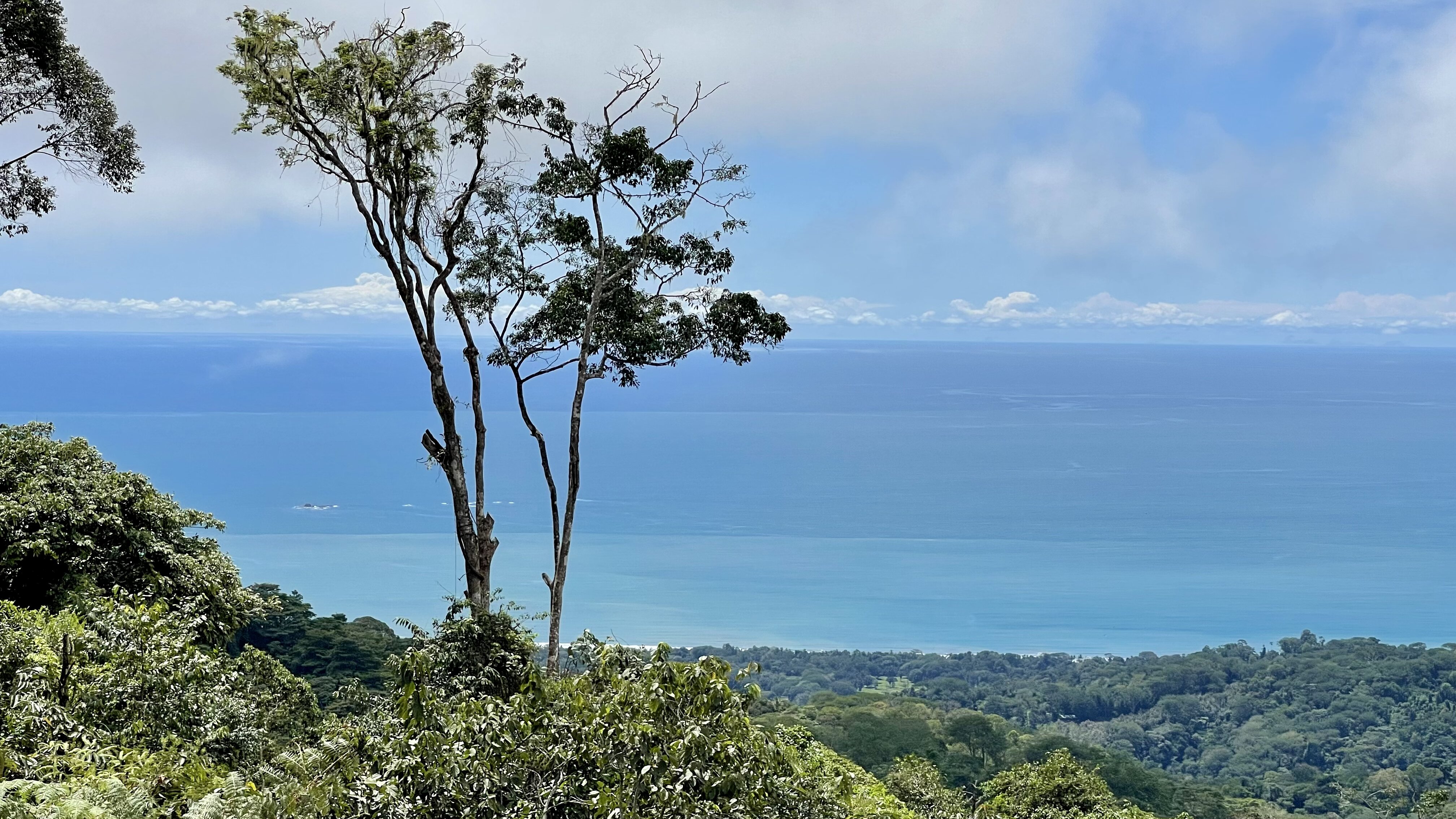 0 bed Land For Sale in Uvita, Puntarenas - thumb 1