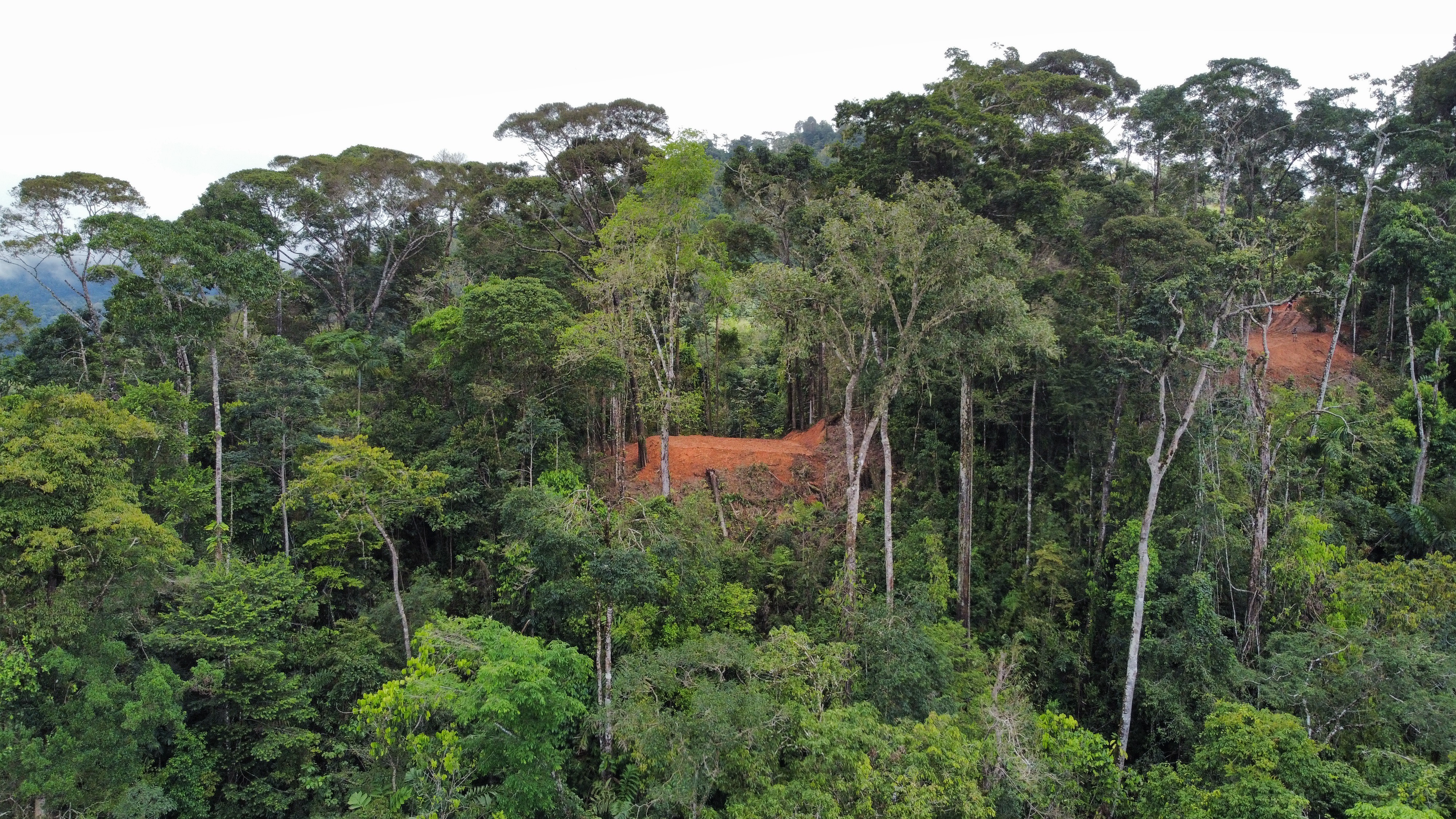 0 bed Land For Sale in Uvita, Puntarenas - thumb 14