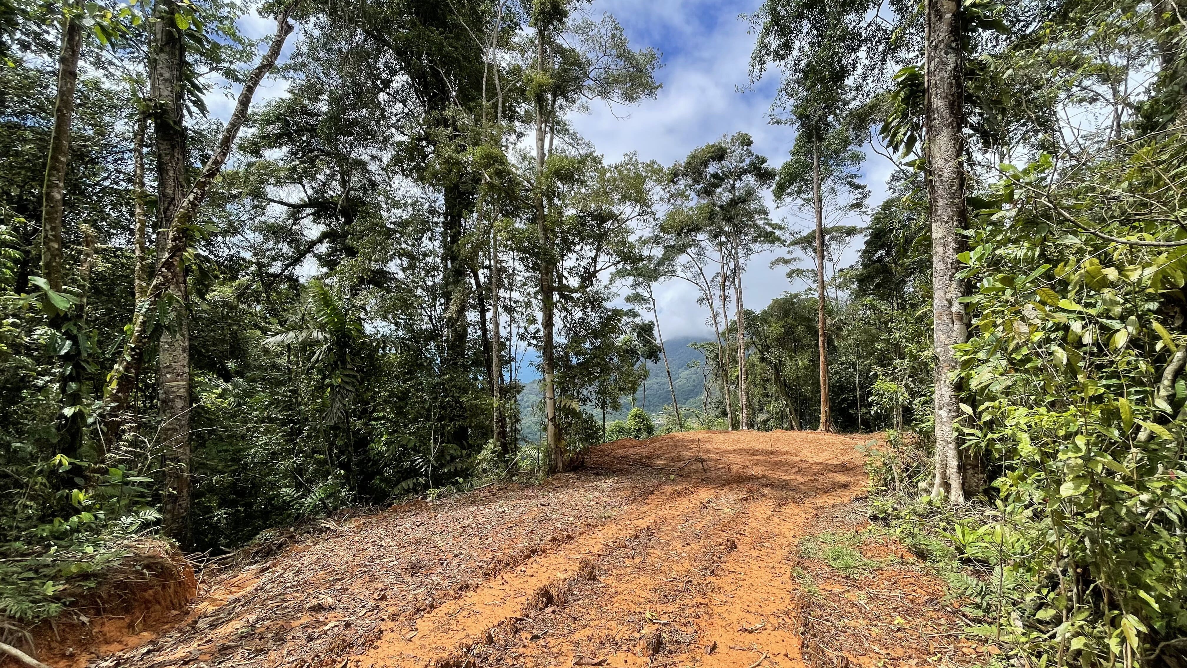 0 bed Land For Sale in Uvita, Puntarenas - thumb 17