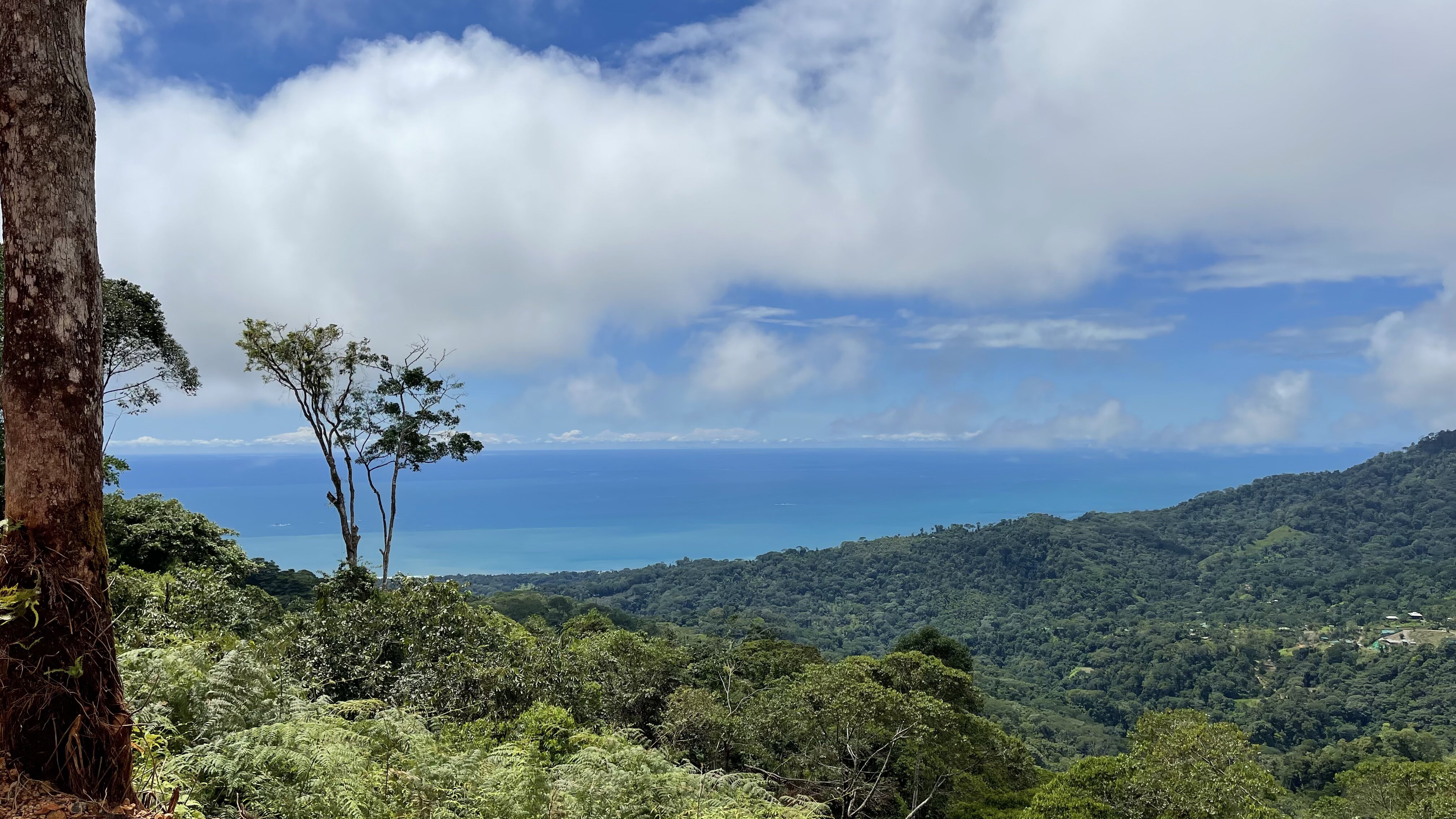 0 bed Land For Sale in Uvita, Puntarenas - thumb 5