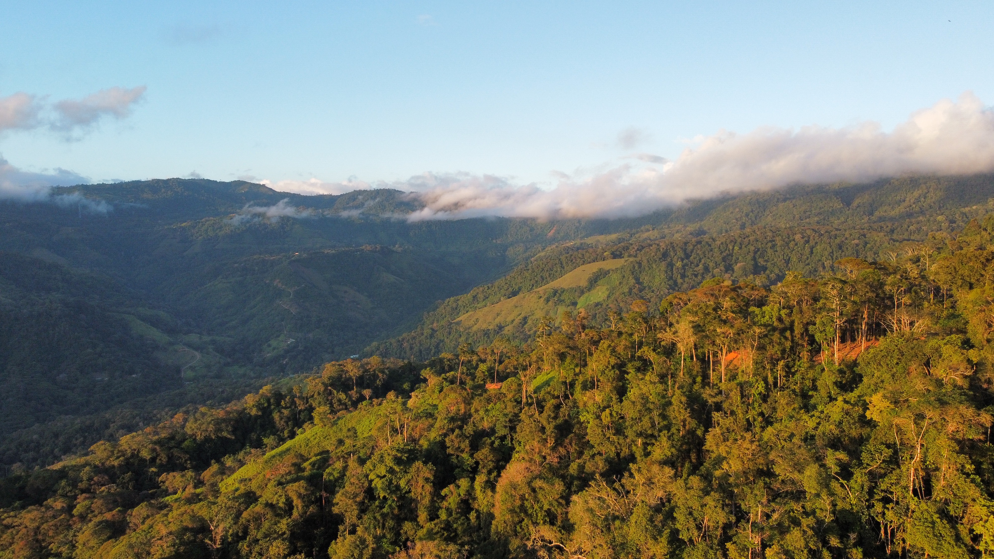 0 bed Land For Sale in Uvita, Puntarenas - thumb 16