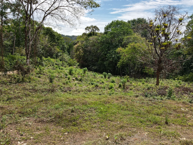 0 bed Land For Sale in Ojochal, Puntarenas - 1