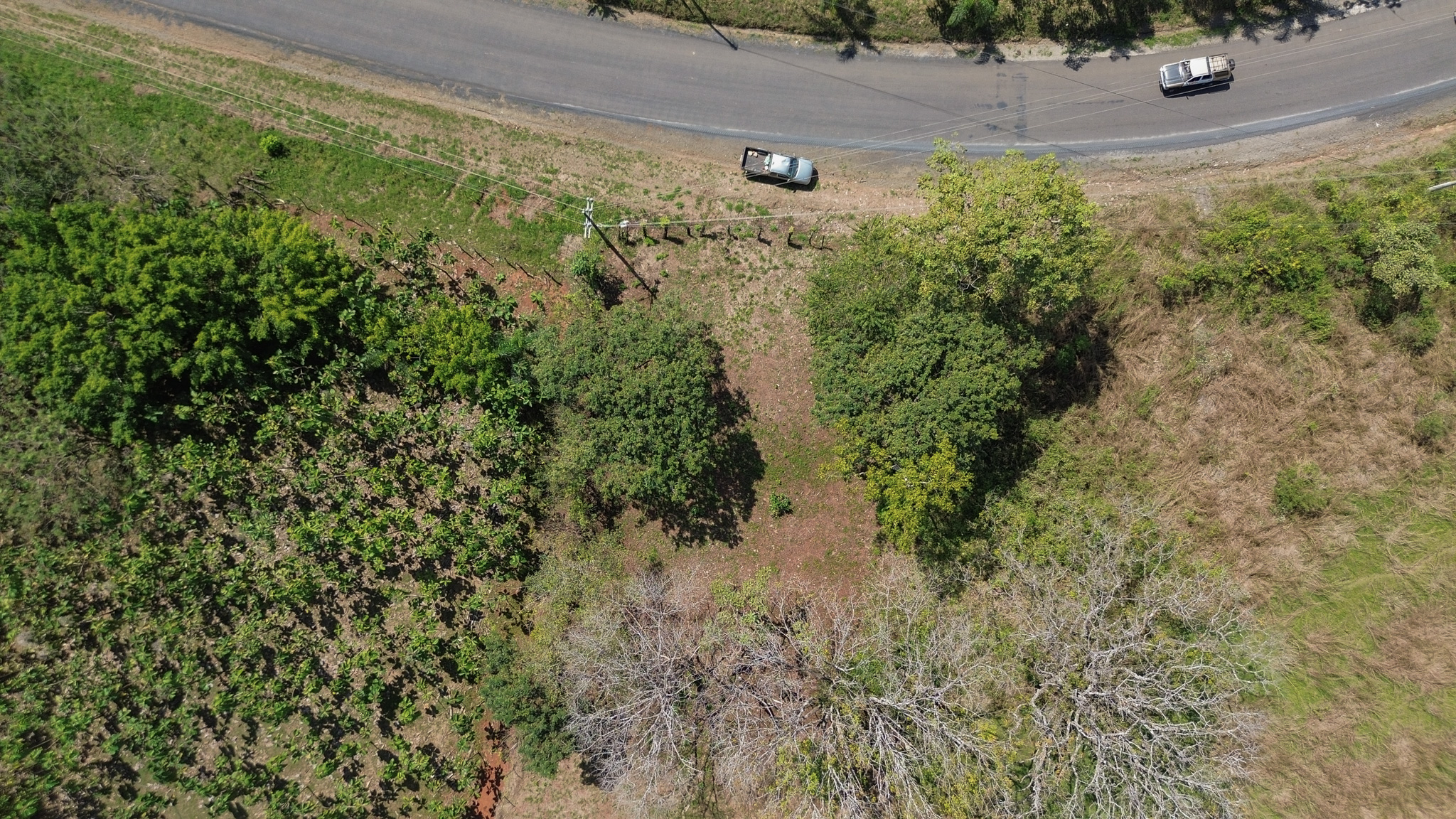 0 bed Land For Sale in Cobano, Puntarenas - thumb 4