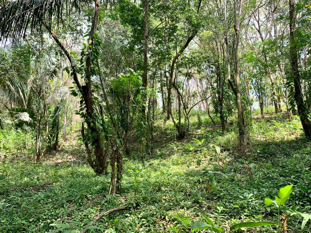 0 bed Land For Sale in Cobano, Puntarenas - thumb 6