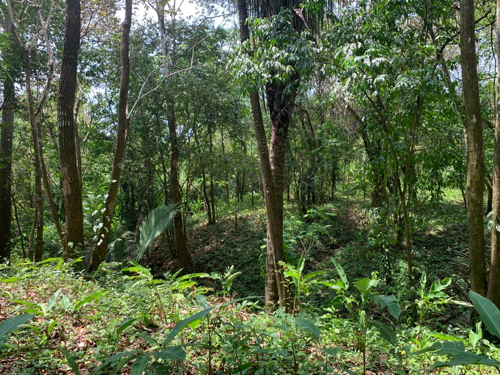 0 bed Land For Sale in Cobano, Puntarenas - thumb 4