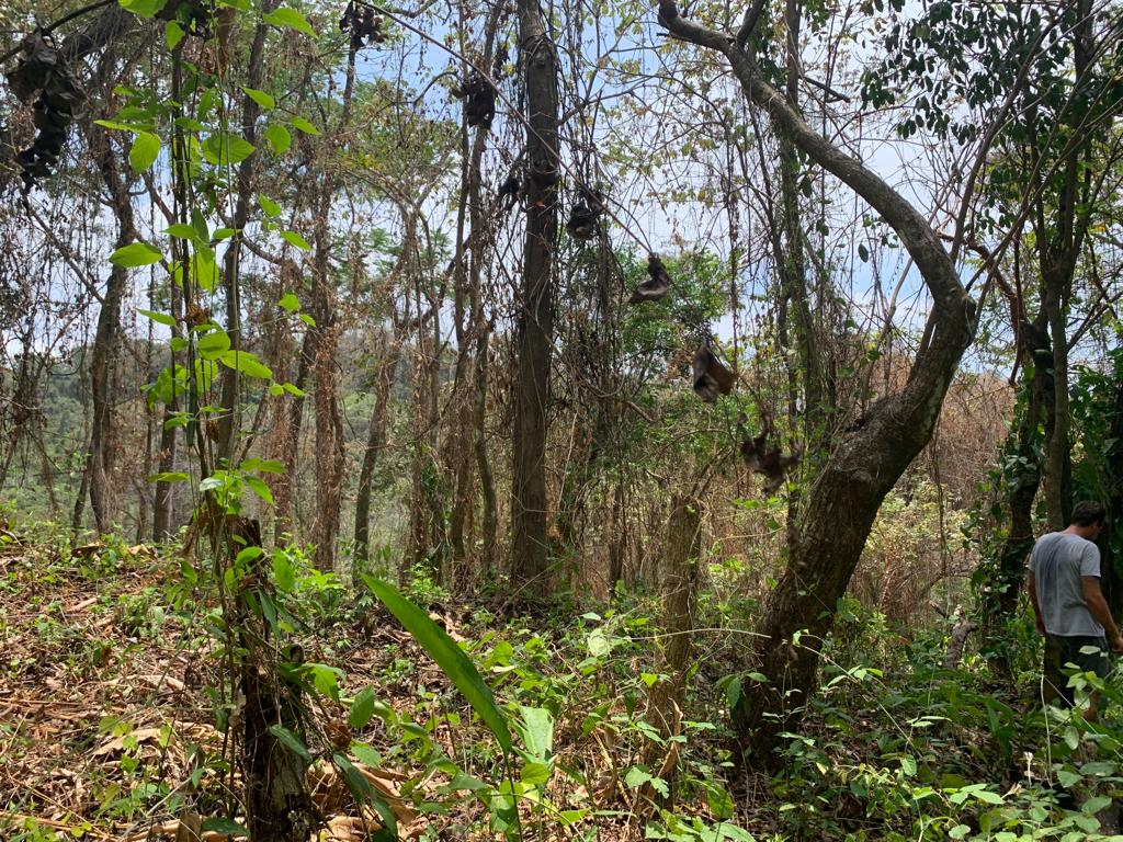 0 bed Land For Sale in Cobano, Puntarenas - thumb 5