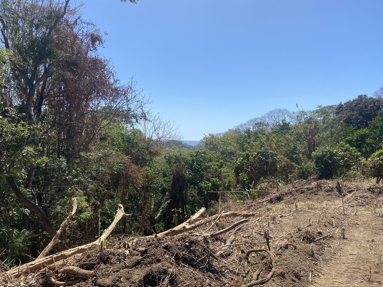 0 bed Land For Sale in Manzanillo, Puntarenas - thumb 4