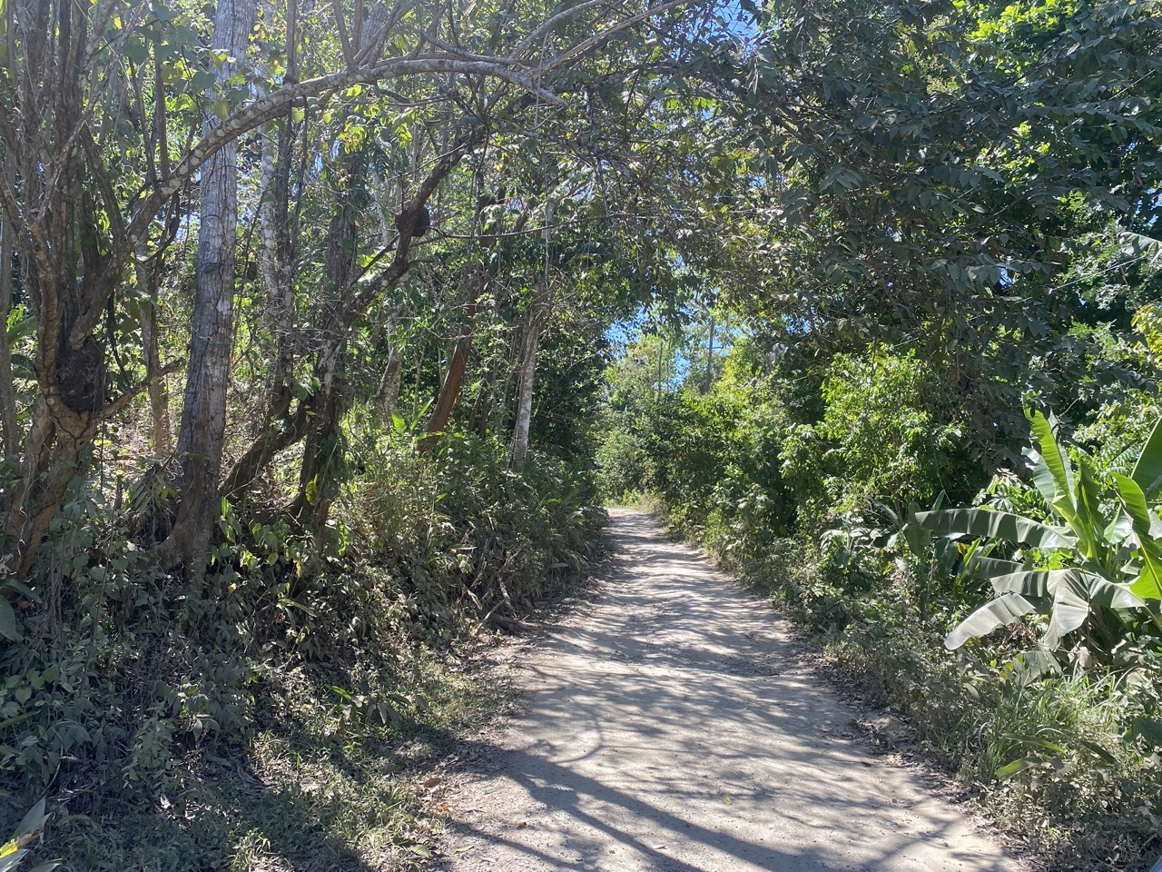 0 bed Land For Sale in Manzanillo, Puntarenas - thumb 2