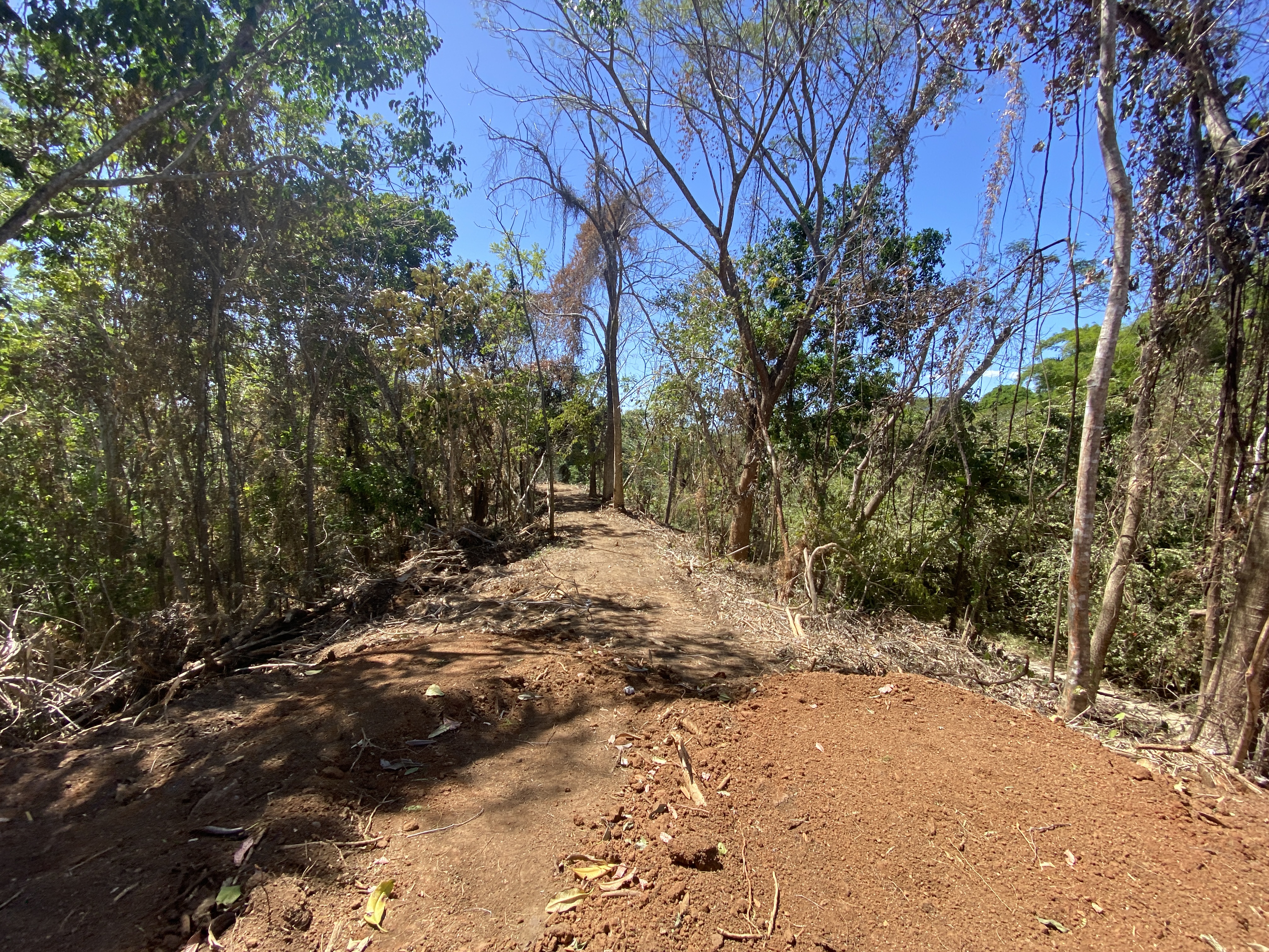 0 bed Land For Sale in Manzanillo, Puntarenas - thumb 6