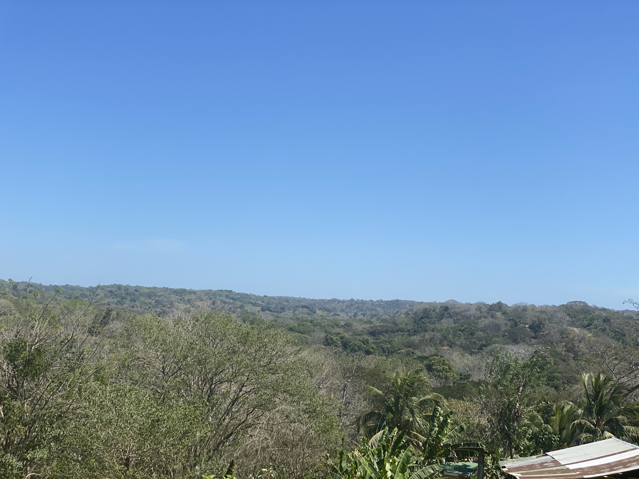 0 bed Land For Sale in Manzanillo, Puntarenas - thumb 8