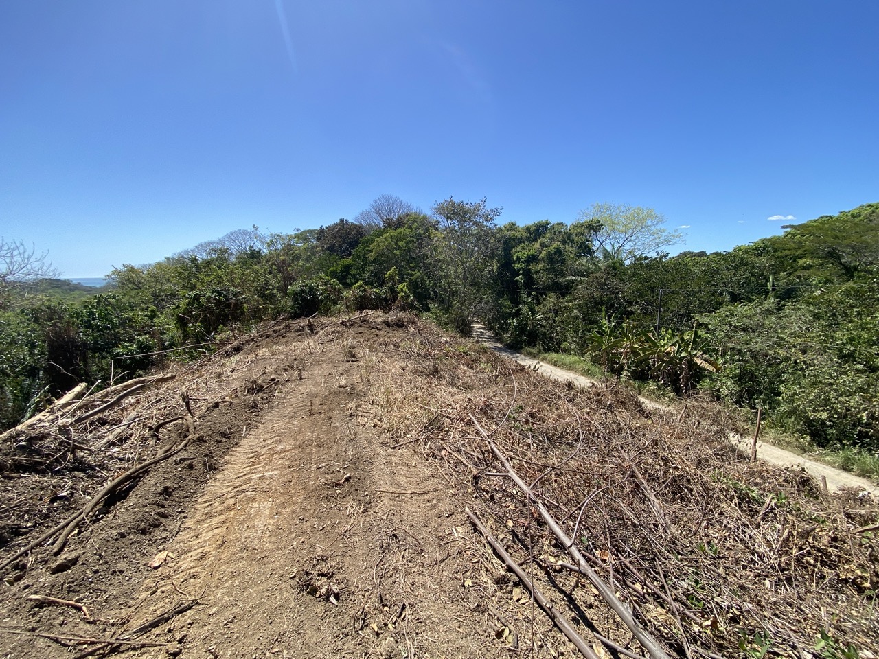 0 bed Land For Sale in Manzanillo, Puntarenas - thumb 7