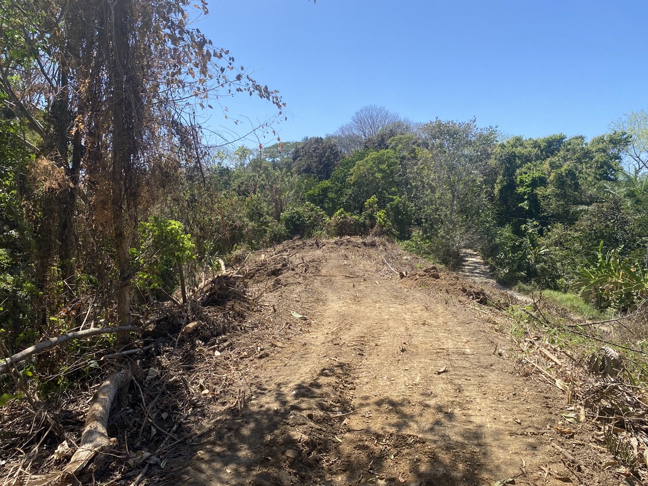 0 bed Land For Sale in Manzanillo, Puntarenas - thumb 5