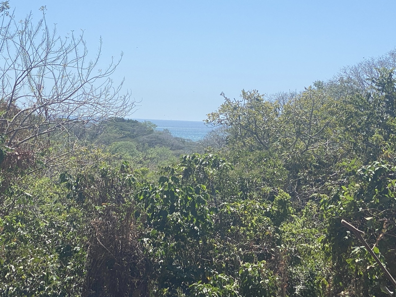0 bed Land For Sale in Manzanillo, Puntarenas - thumb 1