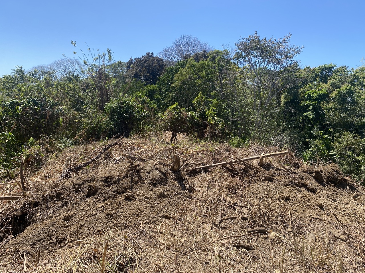 0 bed Land For Sale in Manzanillo, Puntarenas - thumb 3