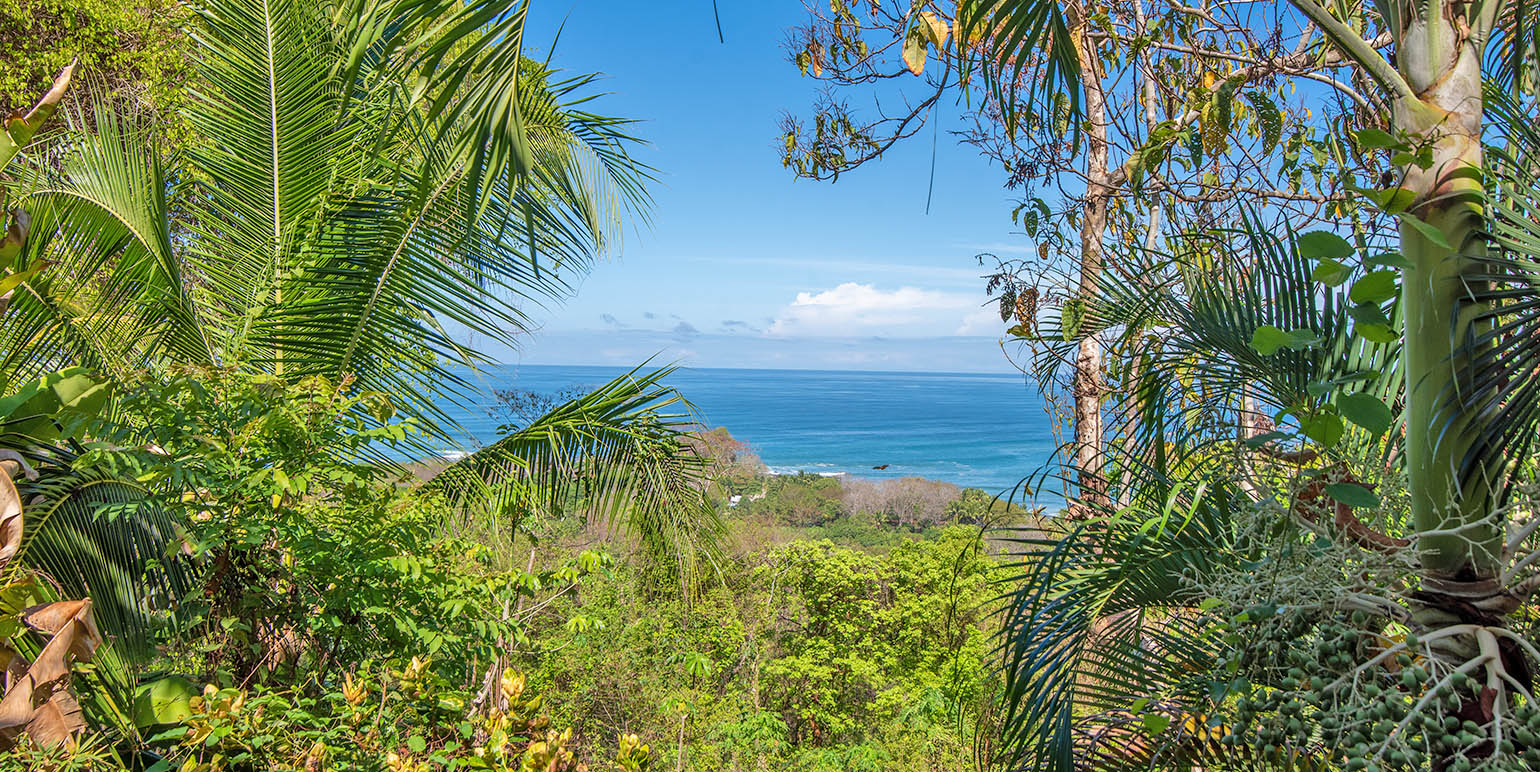 4 bed Single Family Homes For Sale in Malpais, Puntarenas - thumb 9