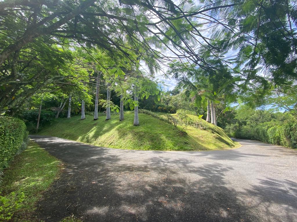 9 bed Single Family Homes For Sale in Atenas, Alajuela - thumb 22