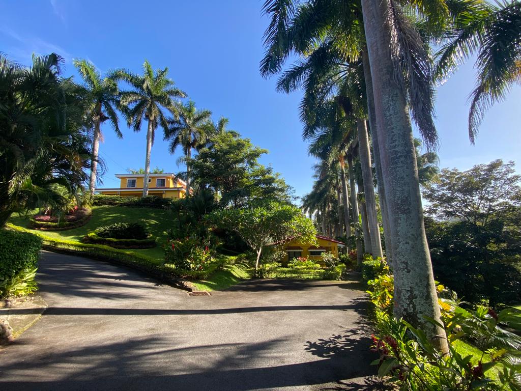 9 bed Single Family Homes For Sale in Atenas, Alajuela - thumb 21