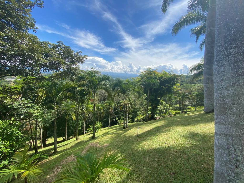 9 bed Single Family Homes For Sale in Atenas, Alajuela - thumb 8