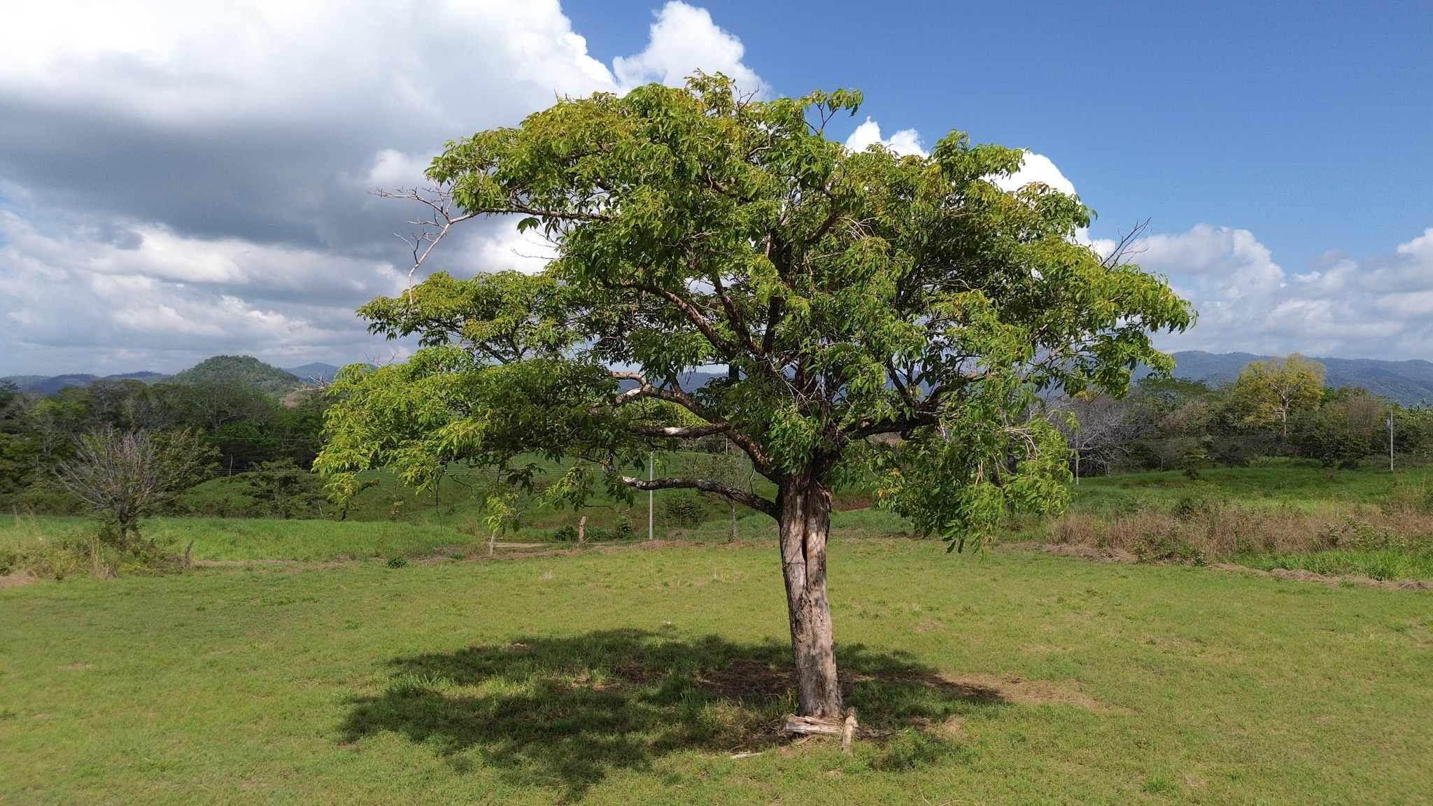 0 bed Land For Sale in Cobano, Puntarenas - thumb 6