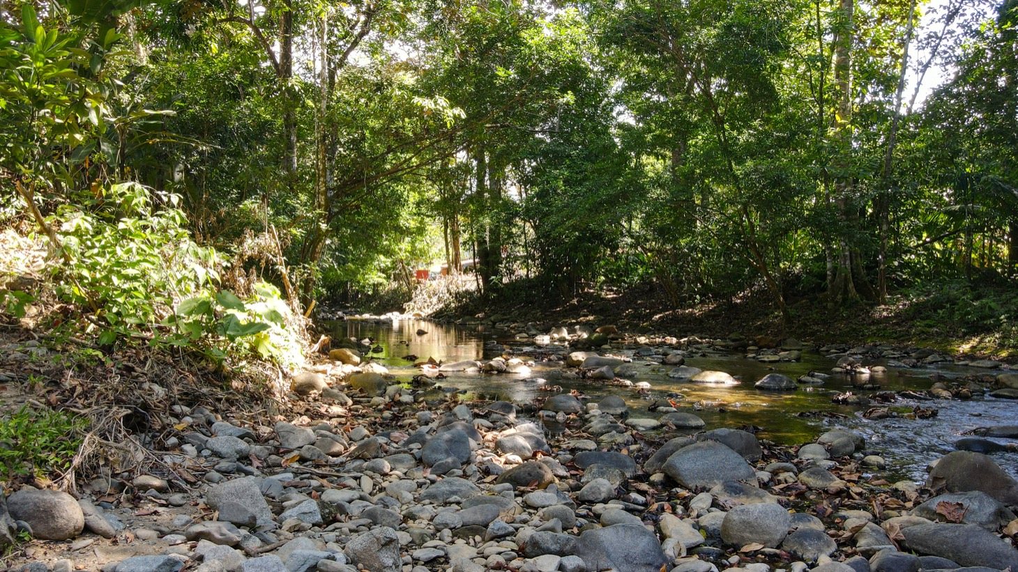 0 bed Land For Sale in Ojochal, Puntarenas - thumb 17
