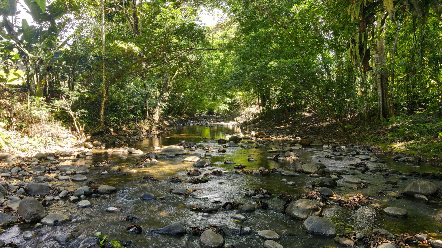 0 bed Land For Sale in Ojochal, Puntarenas - thumb 19