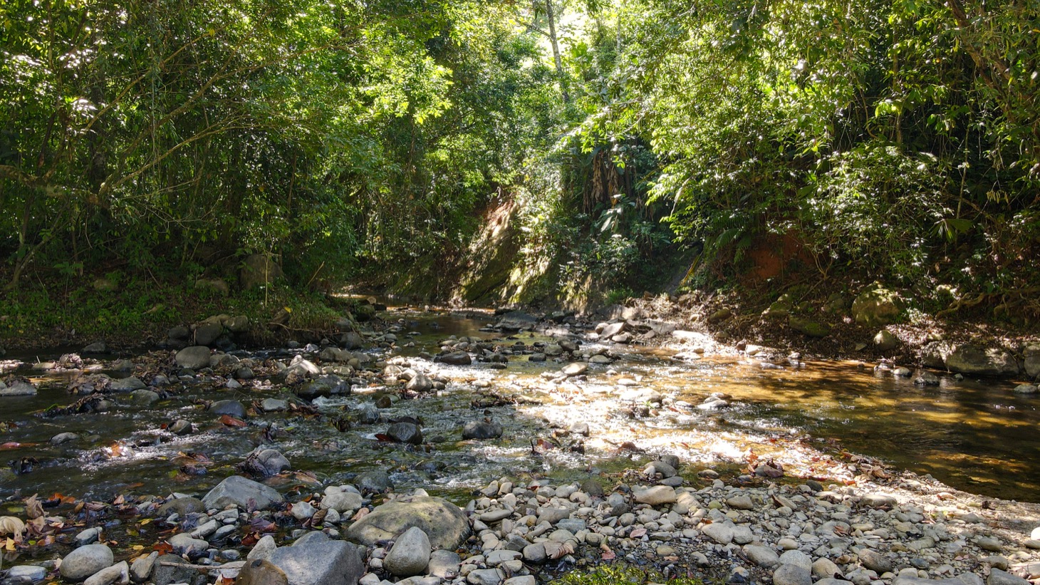 0 bed Land For Sale in Ojochal, Puntarenas - thumb 18