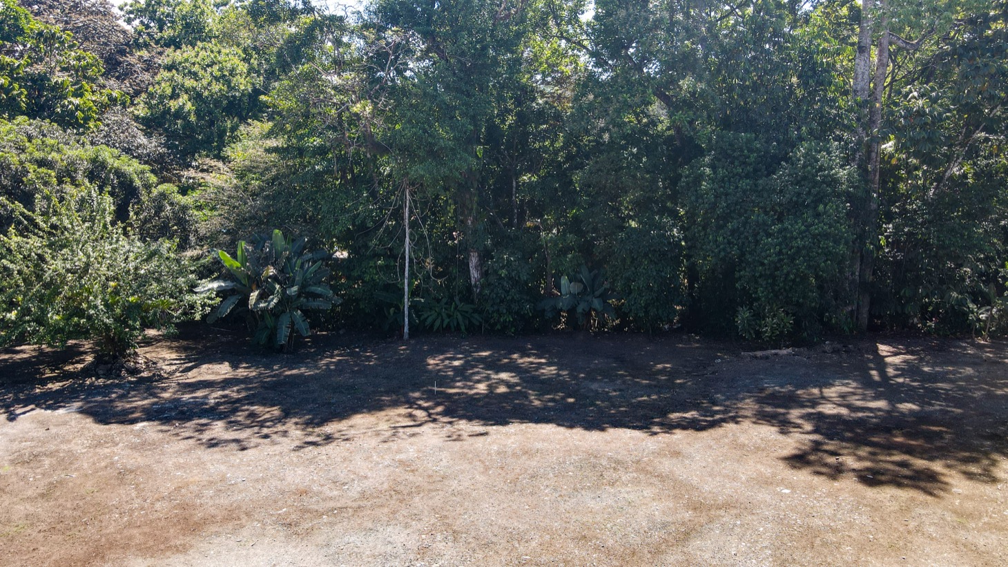 0 bed Land For Sale in Ojochal, Puntarenas - thumb 22