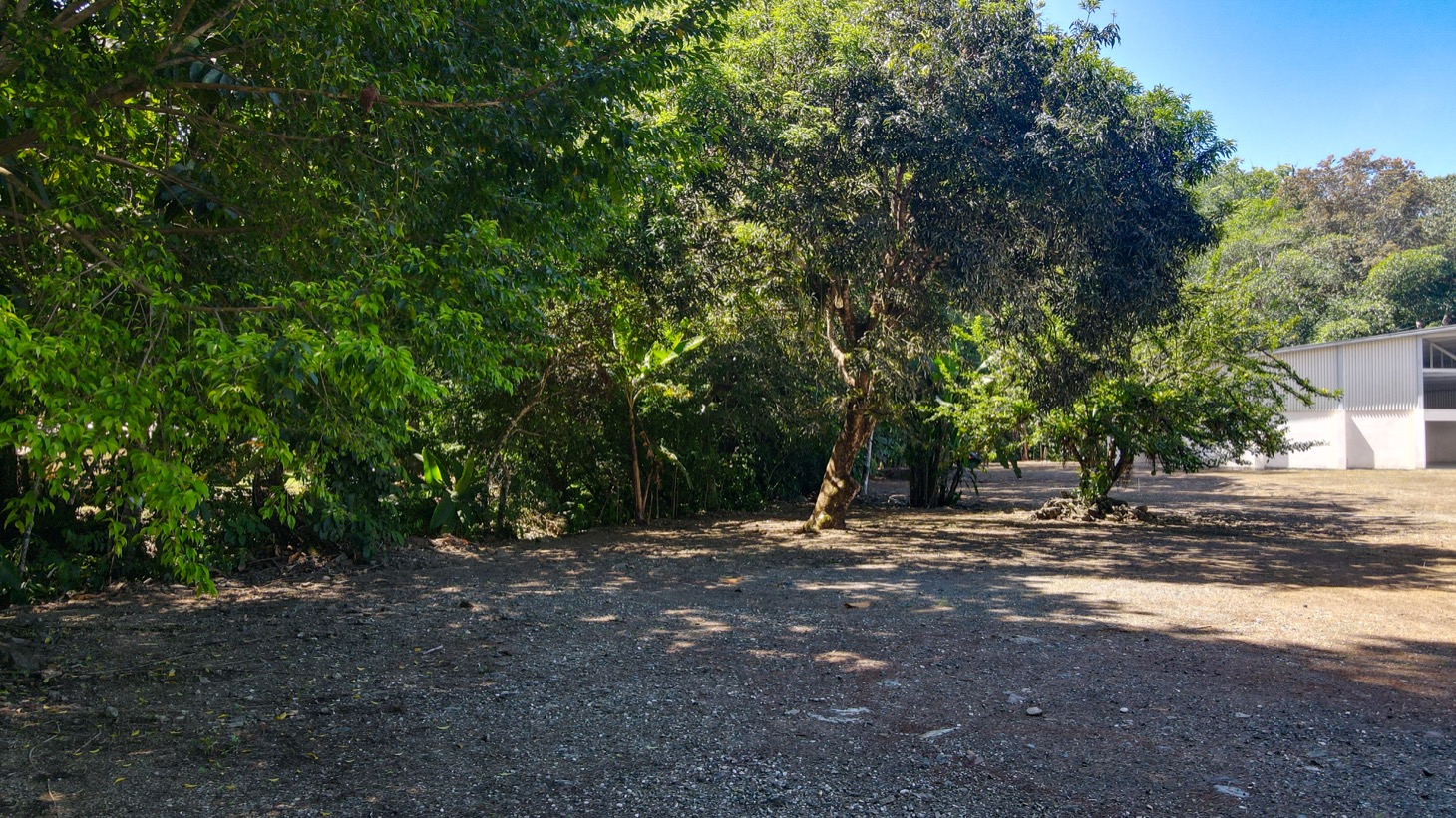 0 bed Land For Sale in Ojochal, Puntarenas - thumb 21