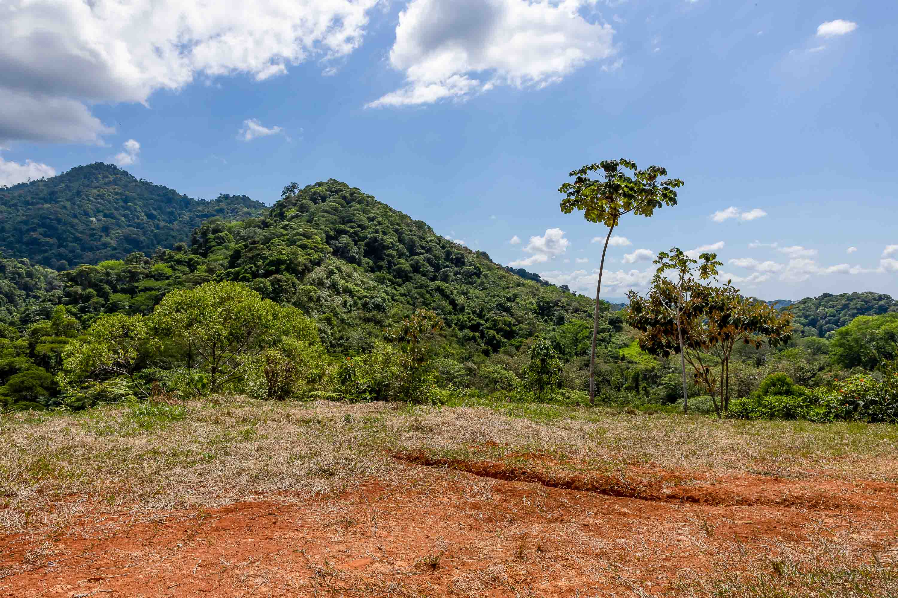 0 bed Land For Sale in Quepos, Puntarenas - thumb 20