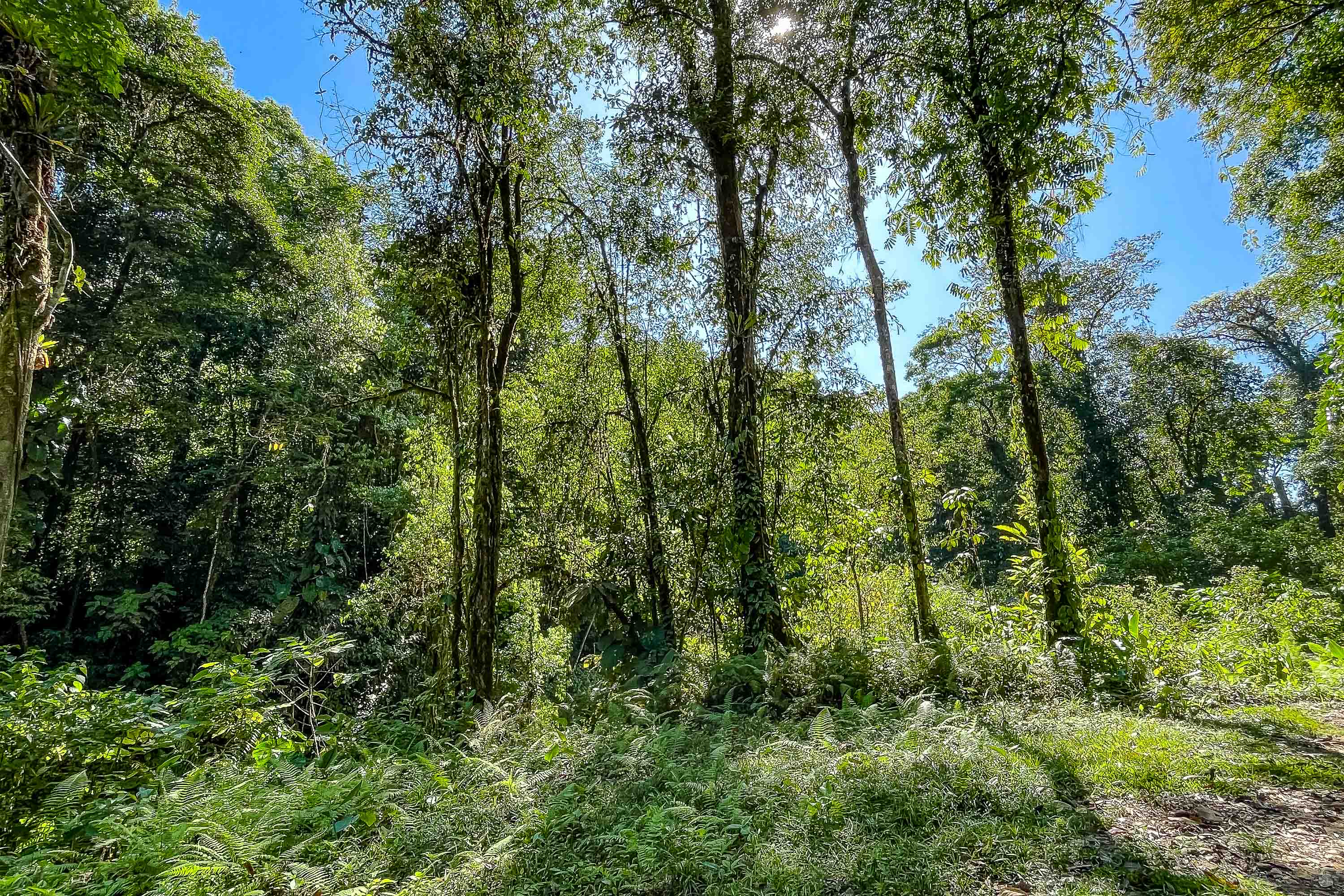 0 bed Land For Sale in Quepos, Puntarenas - thumb 23