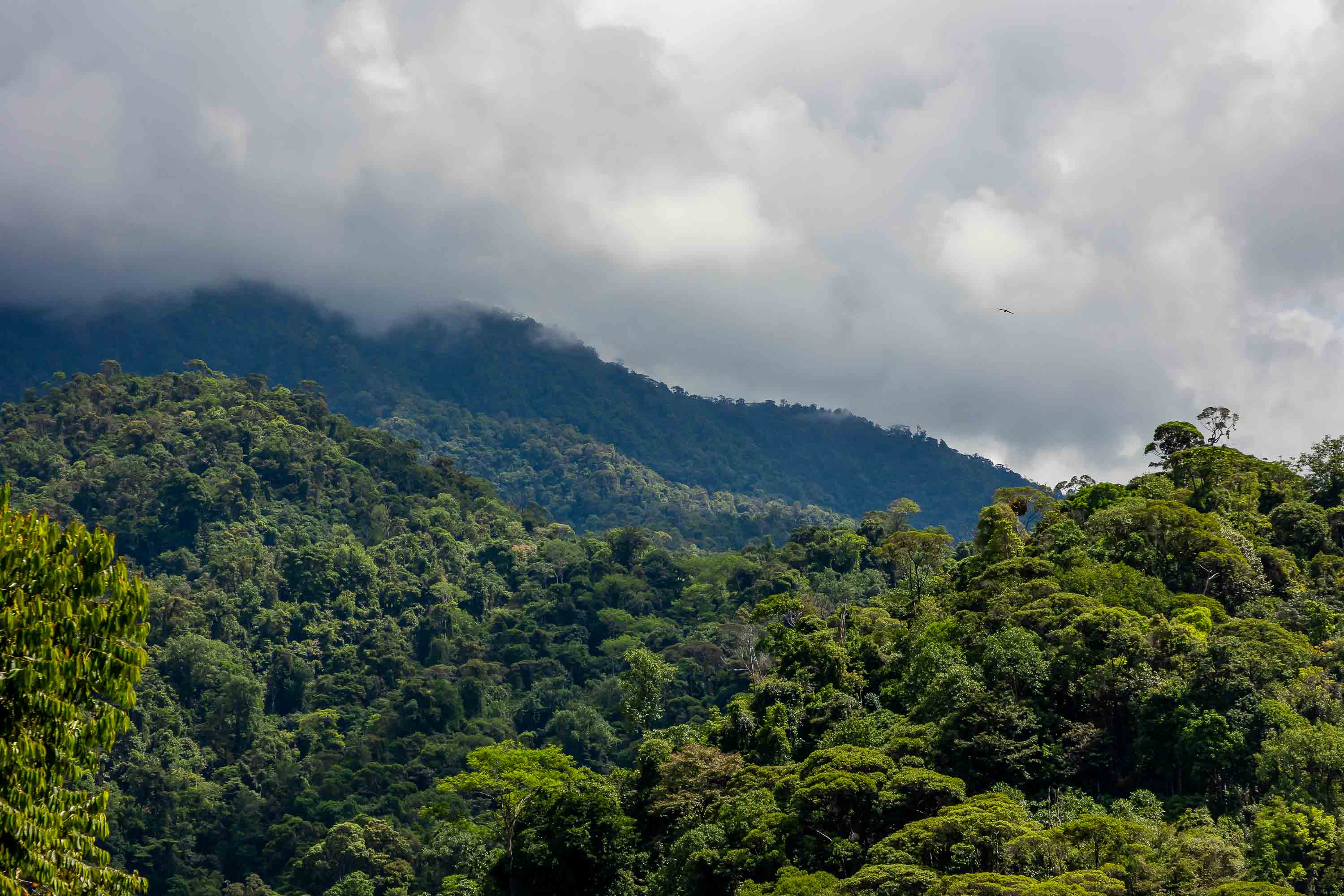 0 bed Land For Sale in Quepos, Puntarenas - thumb 22