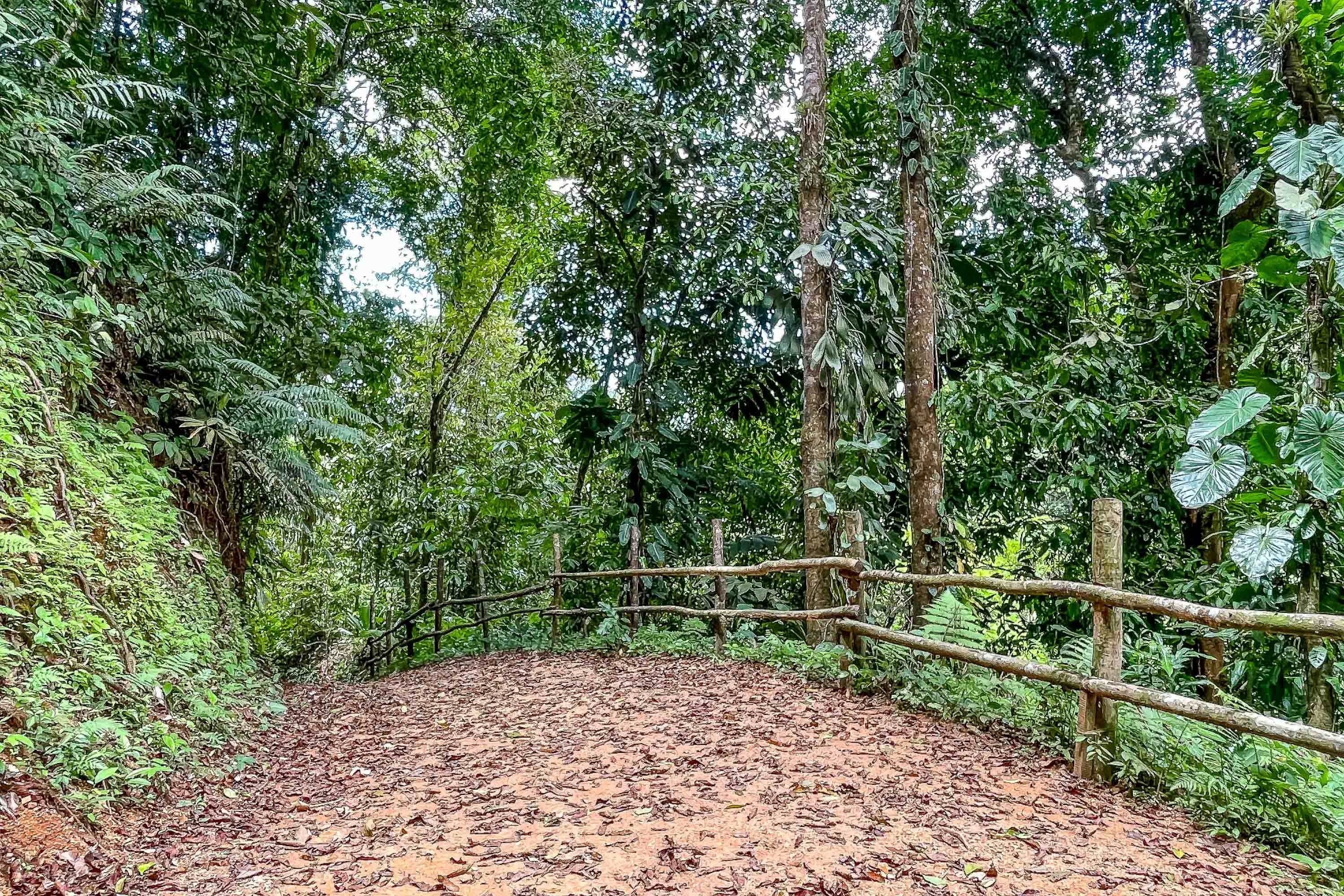 0 bed Land For Sale in Quepos, Puntarenas - thumb 21