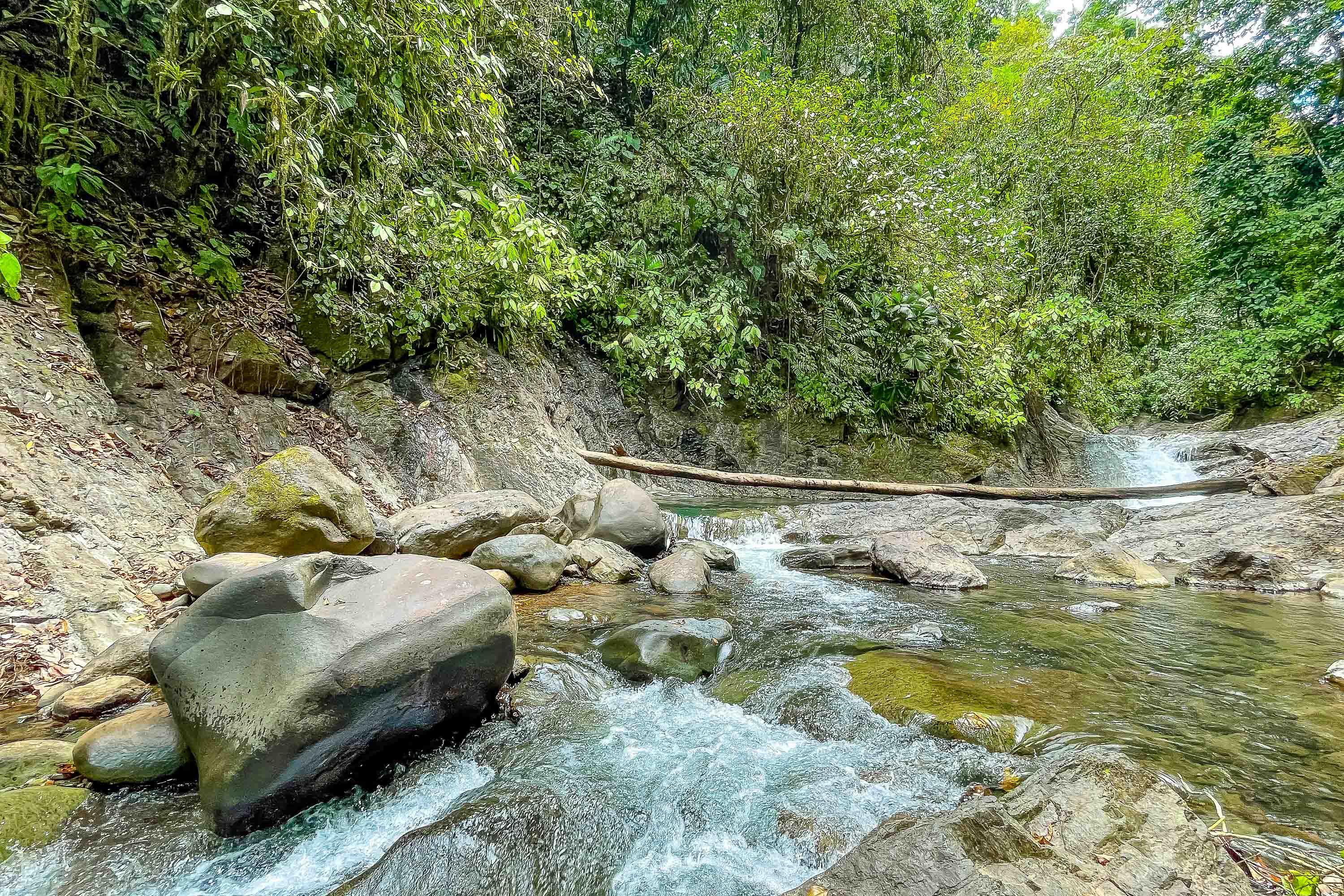 0 bed Land For Sale in Quepos, Puntarenas - thumb 6
