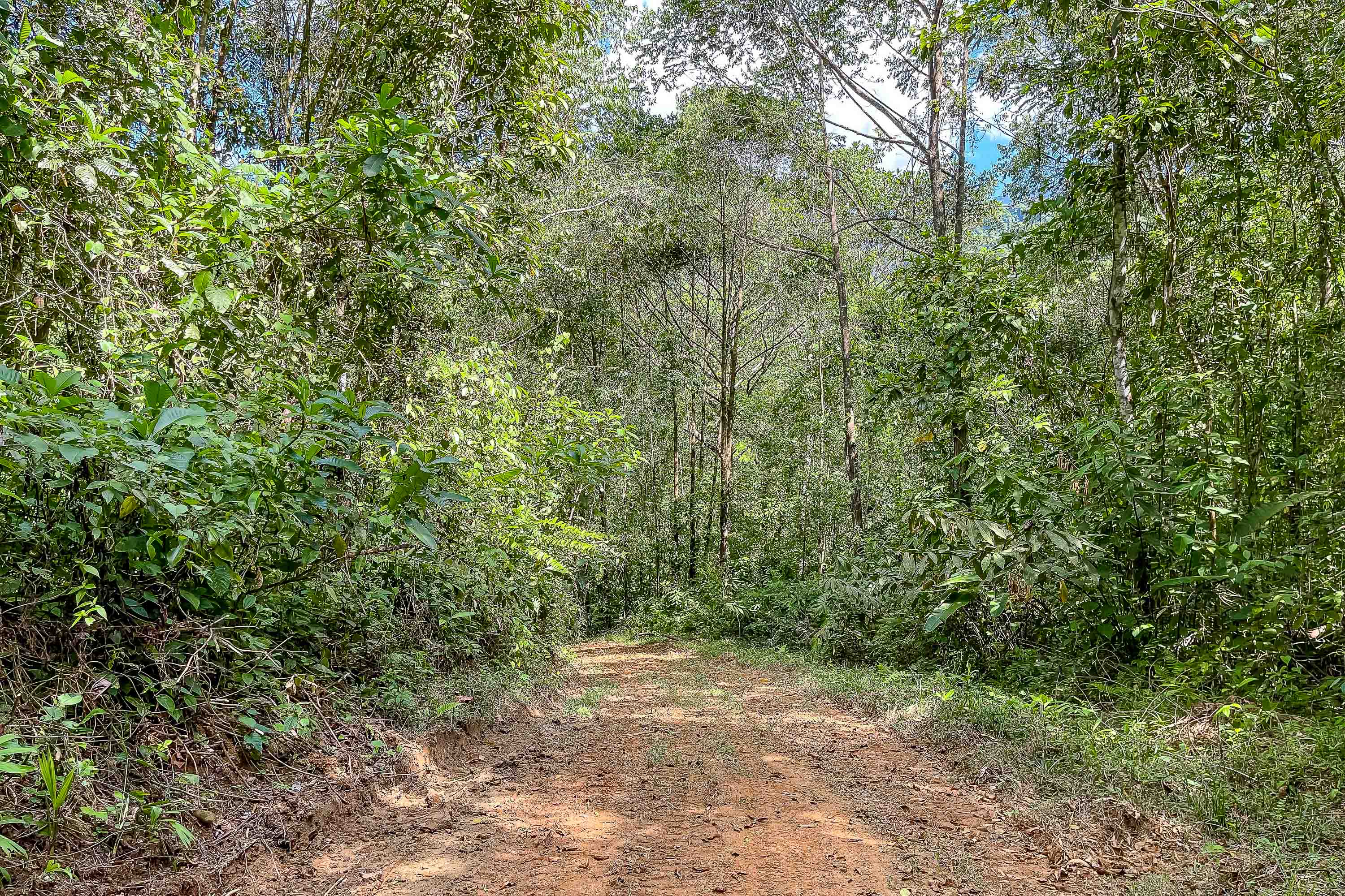 0 bed Land For Sale in Quepos, Puntarenas - thumb 16