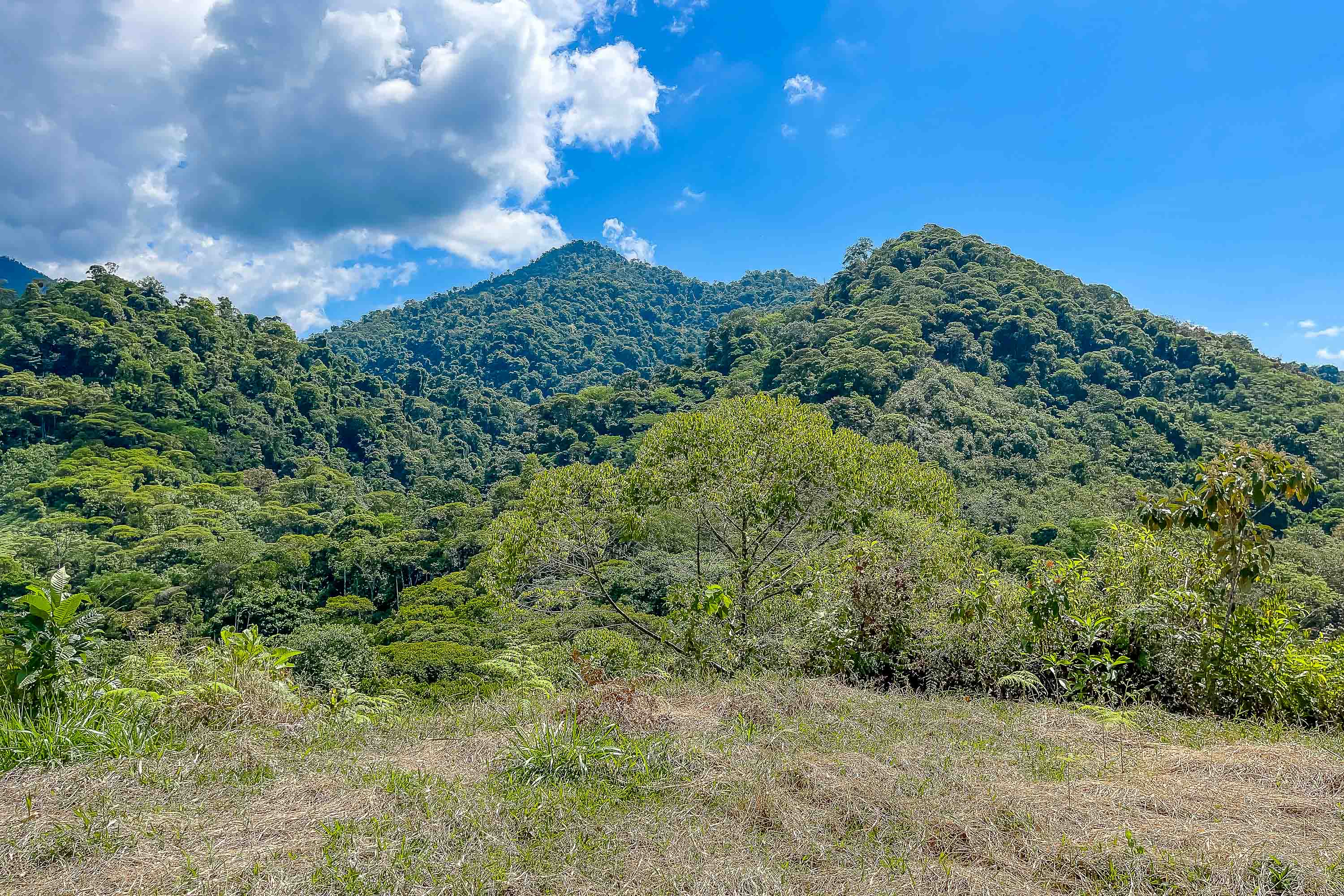 0 bed Land For Sale in Quepos, Puntarenas - thumb 13