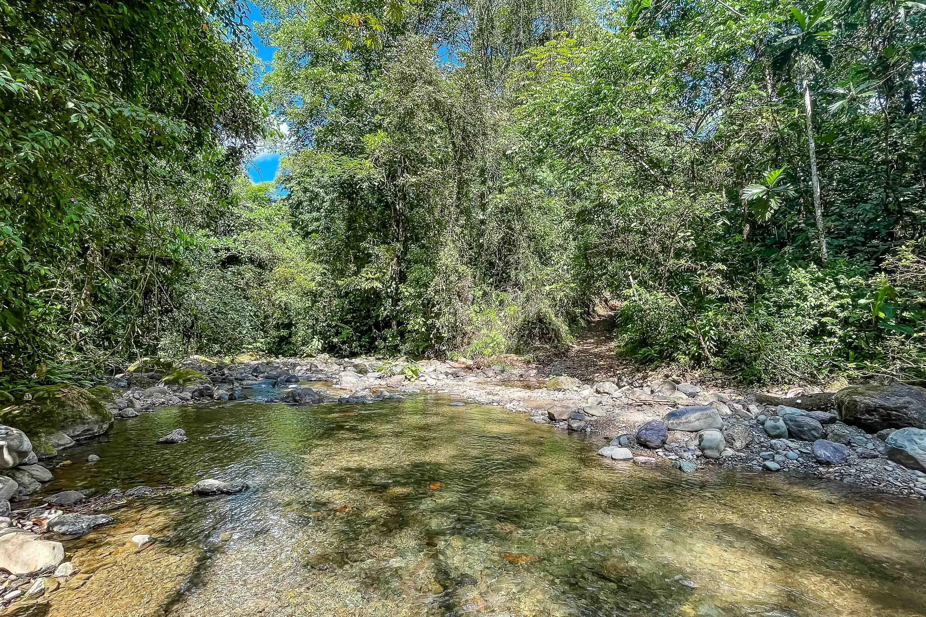 0 bed Land For Sale in Quepos, Puntarenas - thumb 7