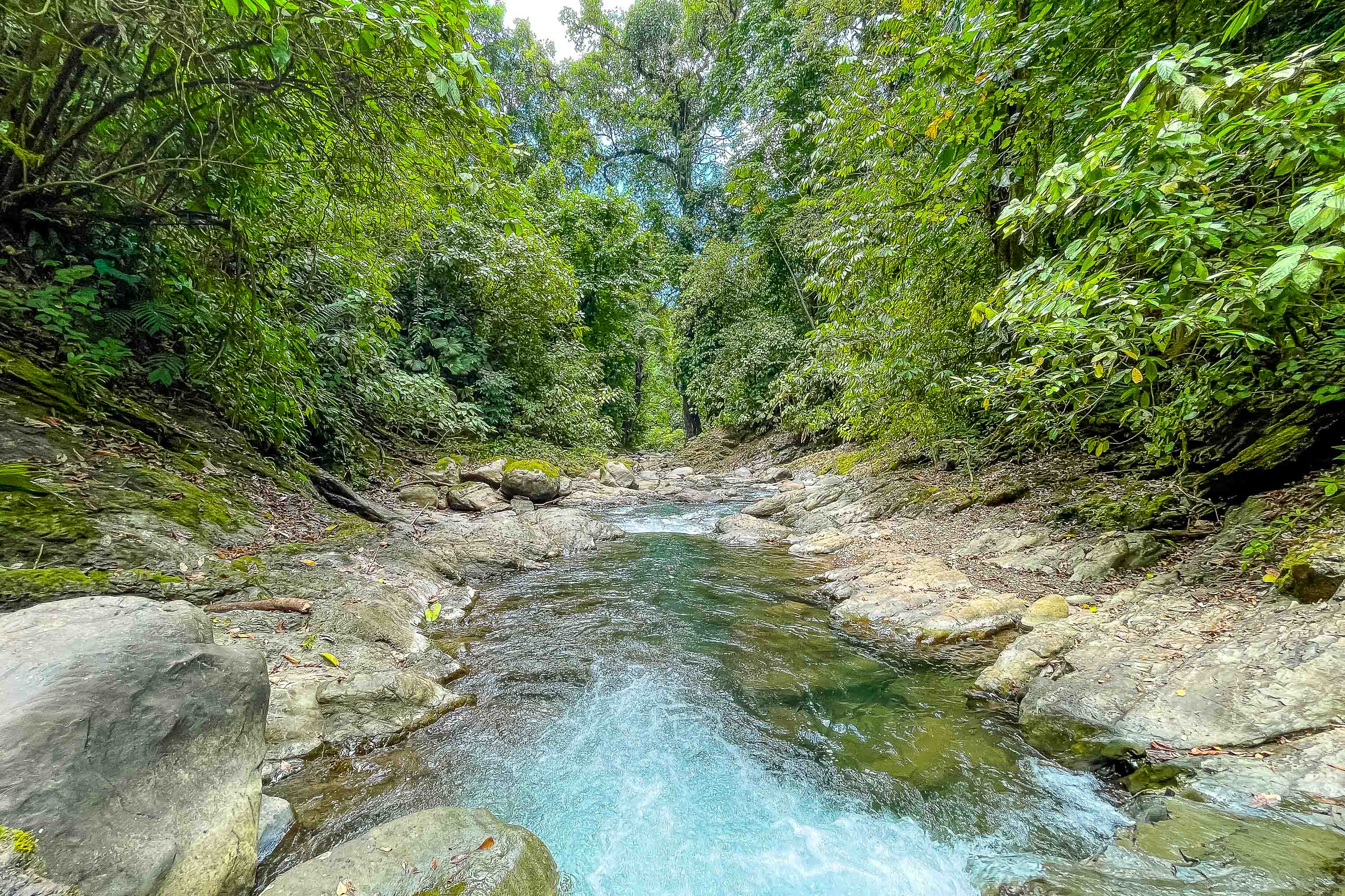 0 bed Land For Sale in Quepos, Puntarenas - thumb 3