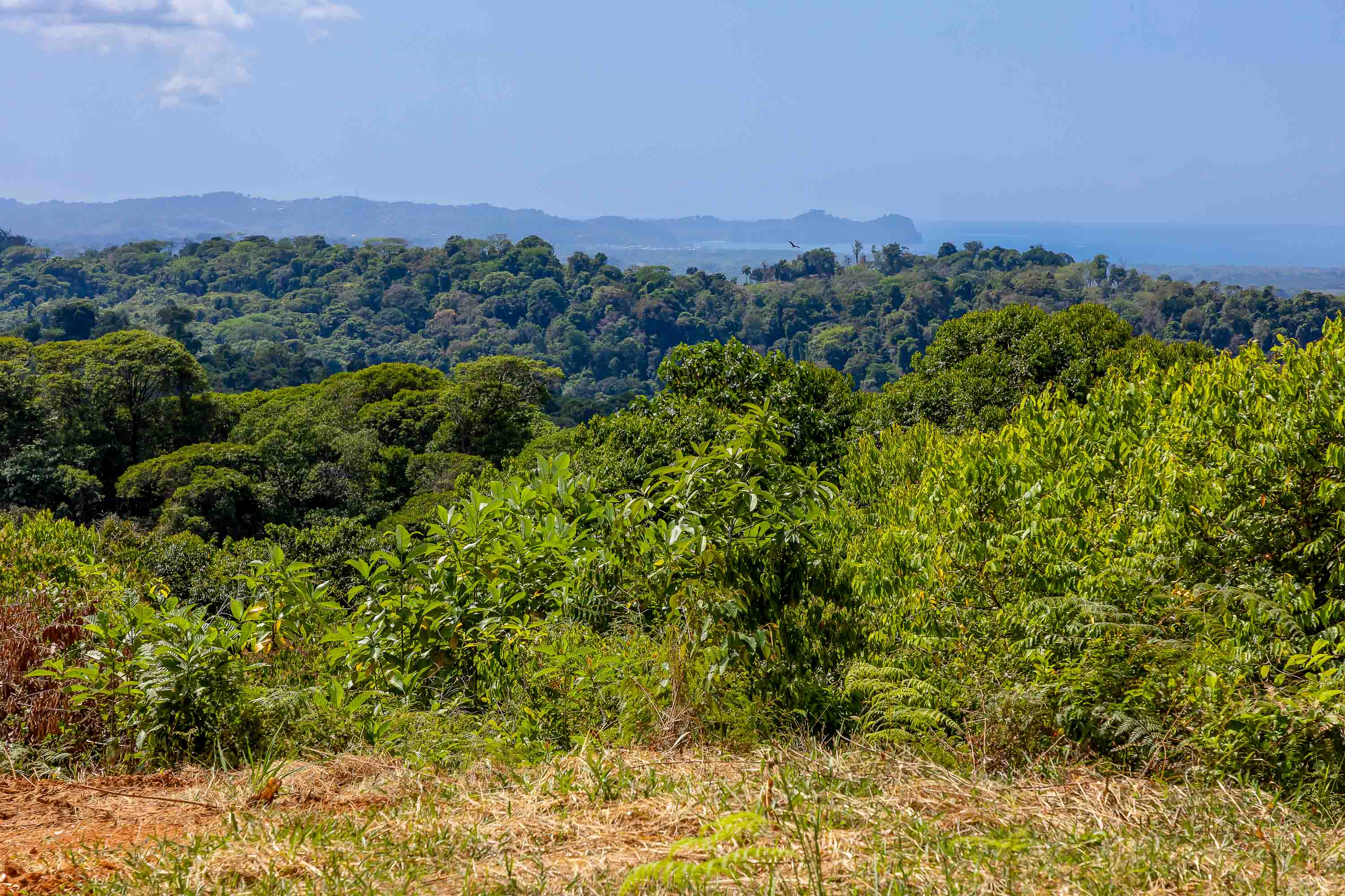 0 bed Land For Sale in Quepos, Puntarenas - thumb 11