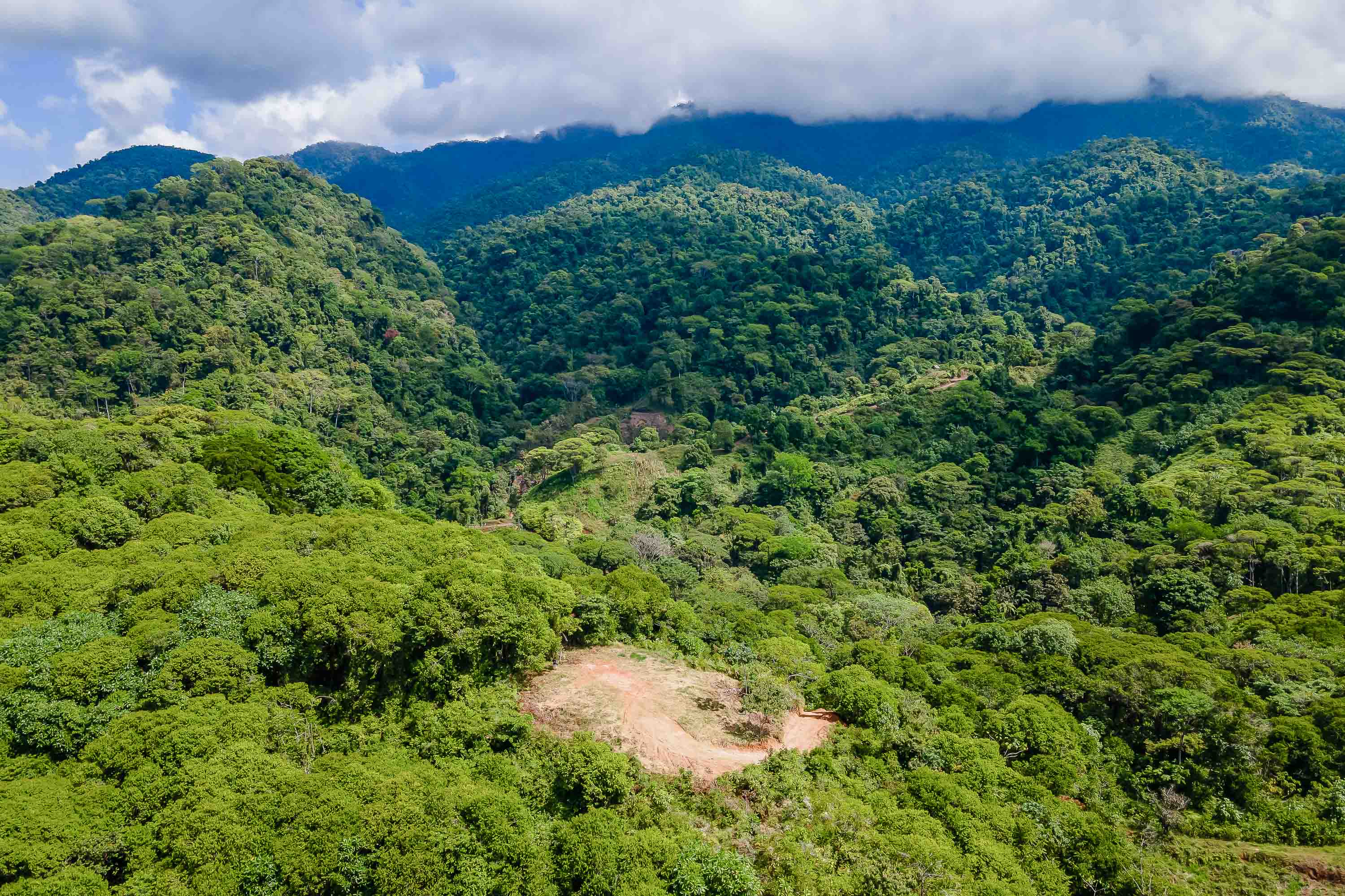 0 bed Land For Sale in Quepos, Puntarenas - thumb 19